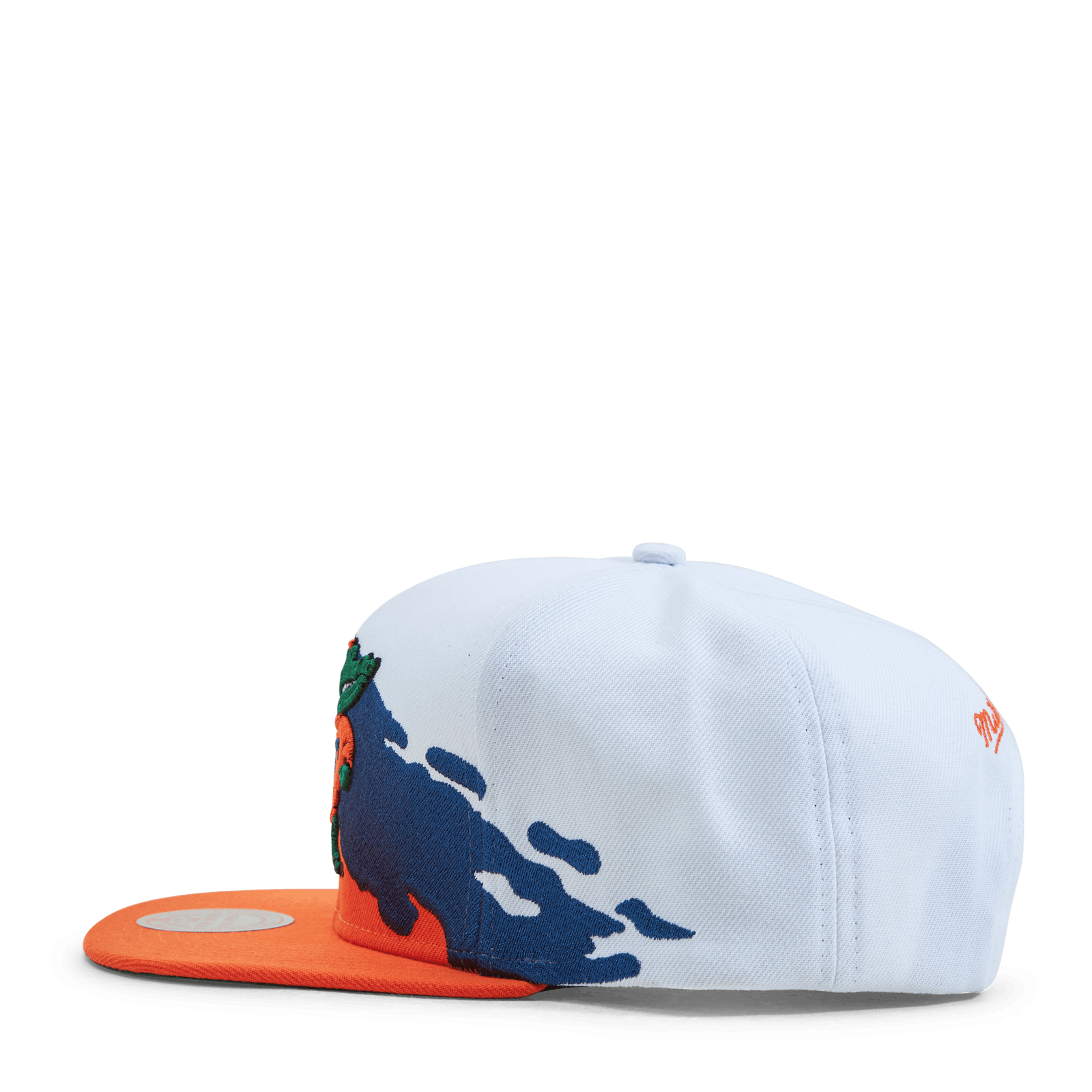 Gators Paintbrush Snapback NCAA