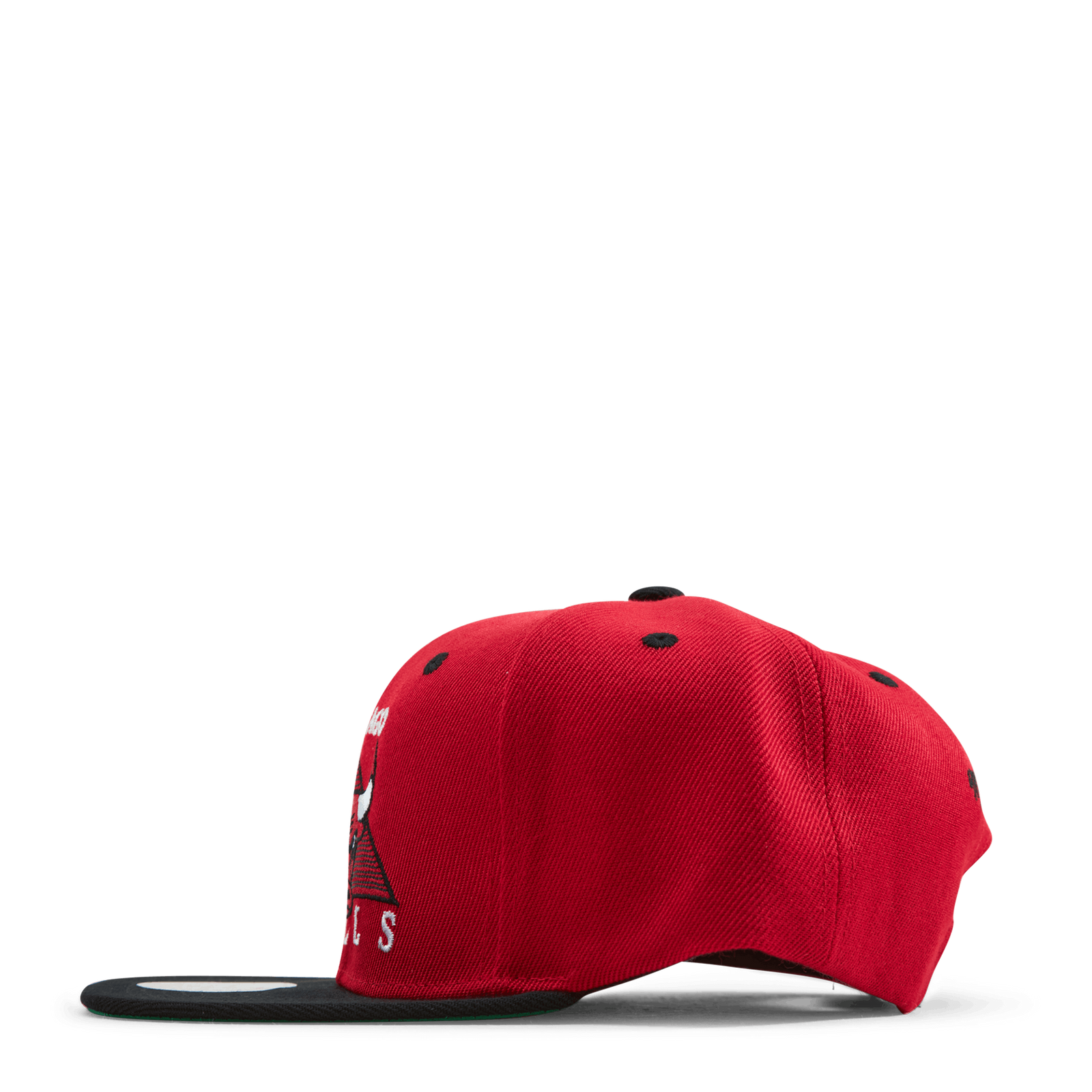 Bulls Monument Snapback