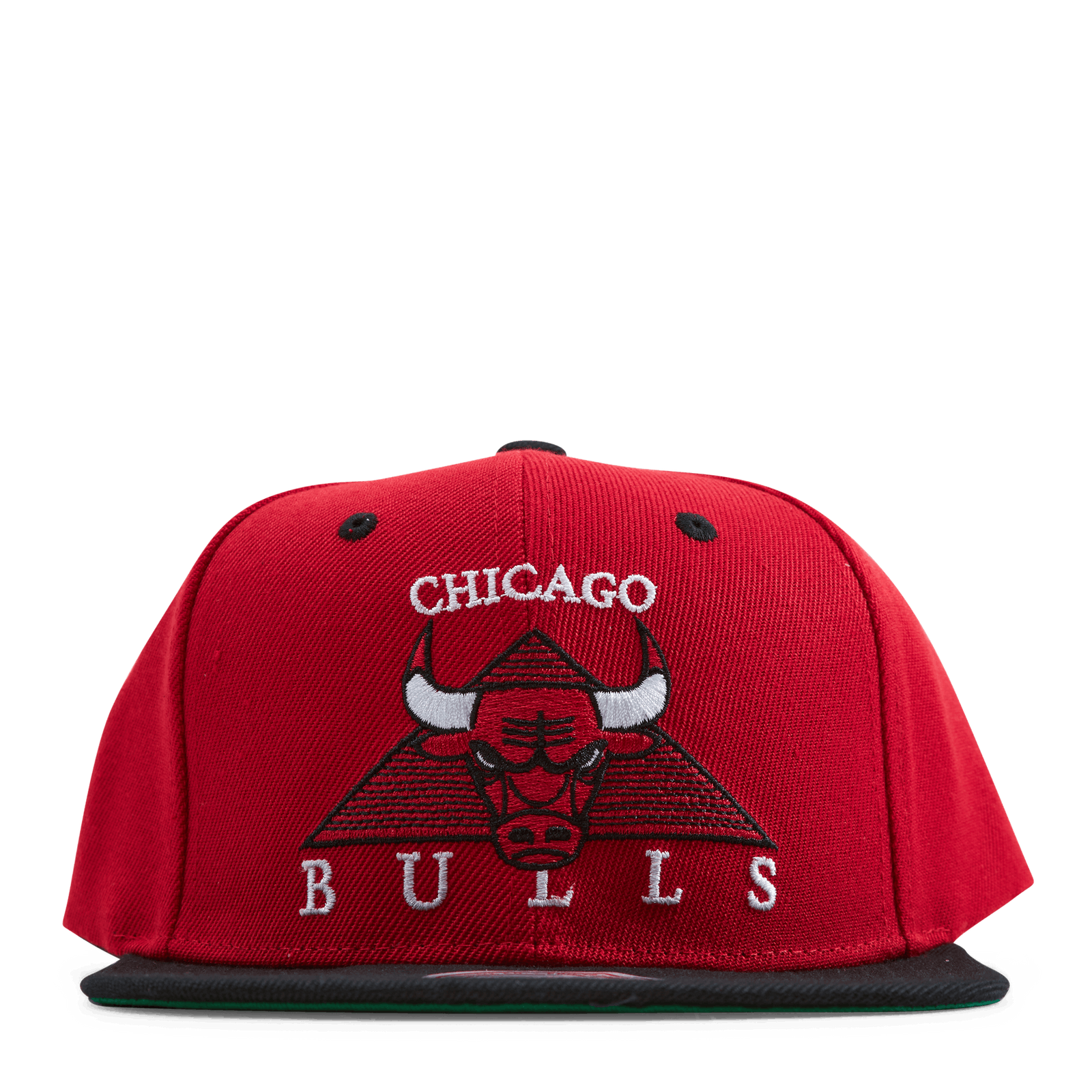 Bulls Monument Snapback