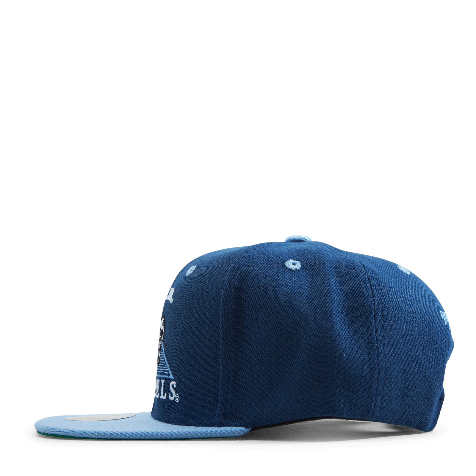 UNC Monument Snapback