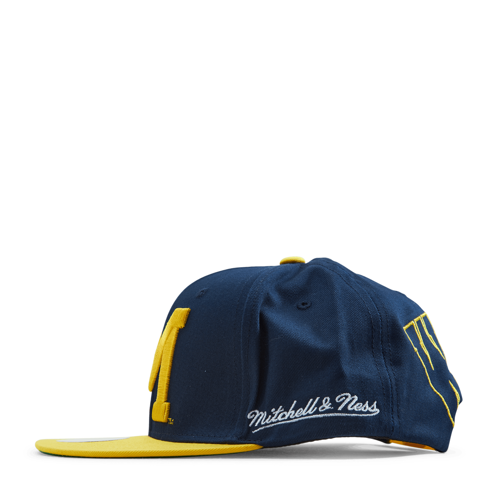 Michigan Back In Action Snapback