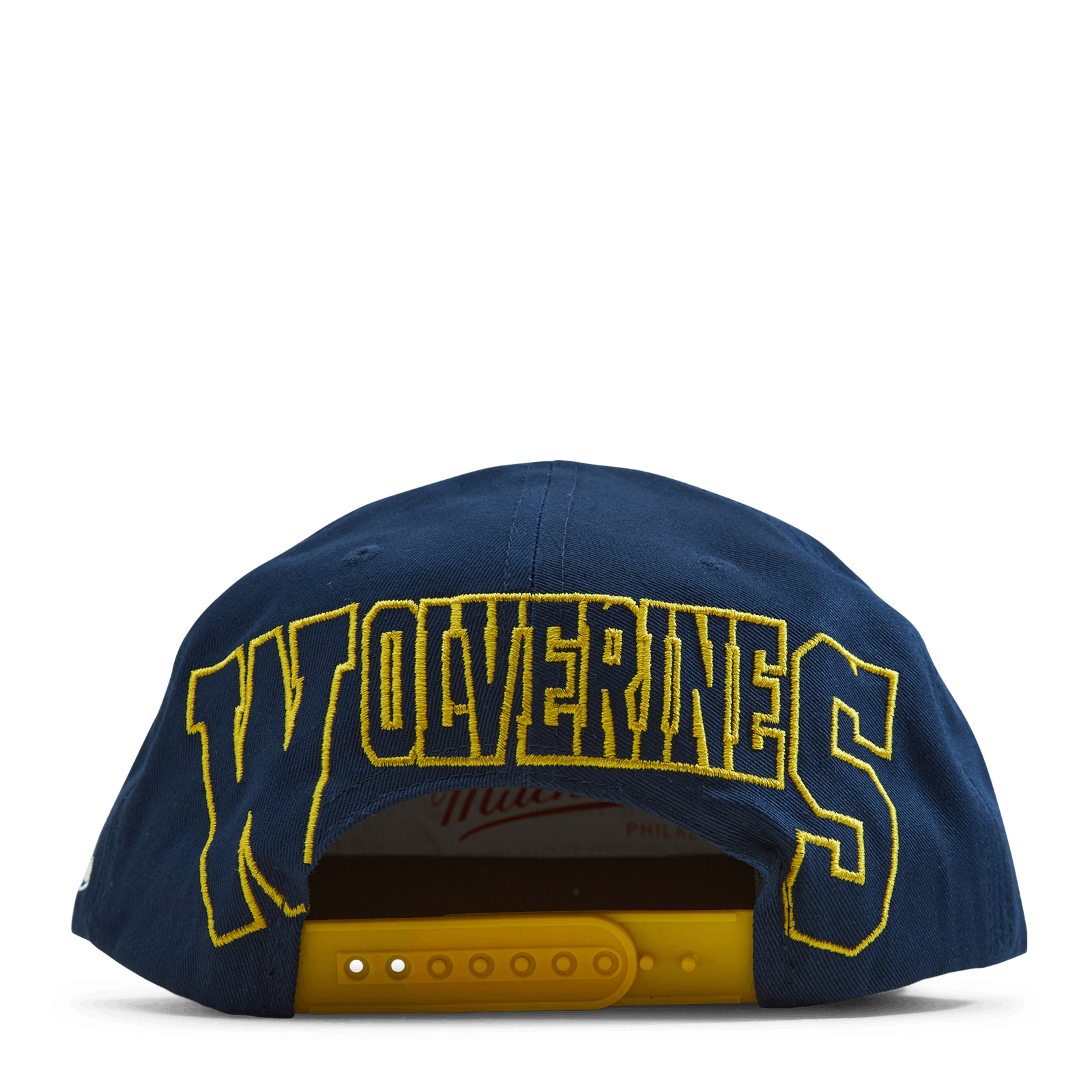 Michigan Back In Action Snapback