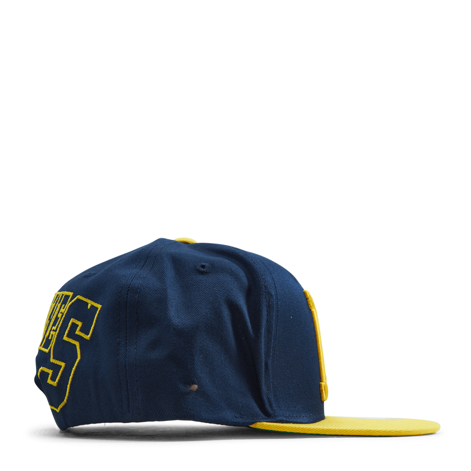 Michigan Back In Action Snapback