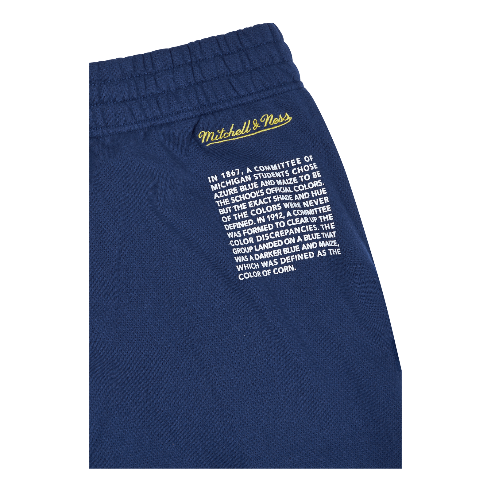 Michigan Team Origins Fleece Short