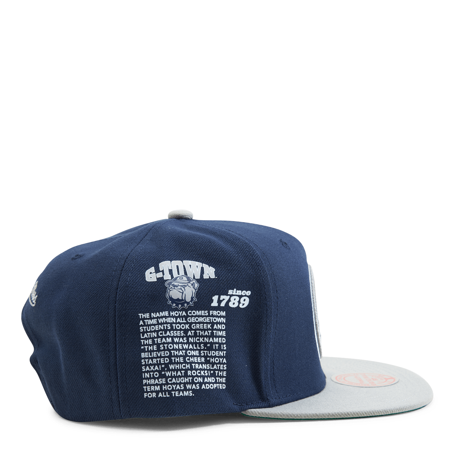 Hoyas Team Origins Snapback