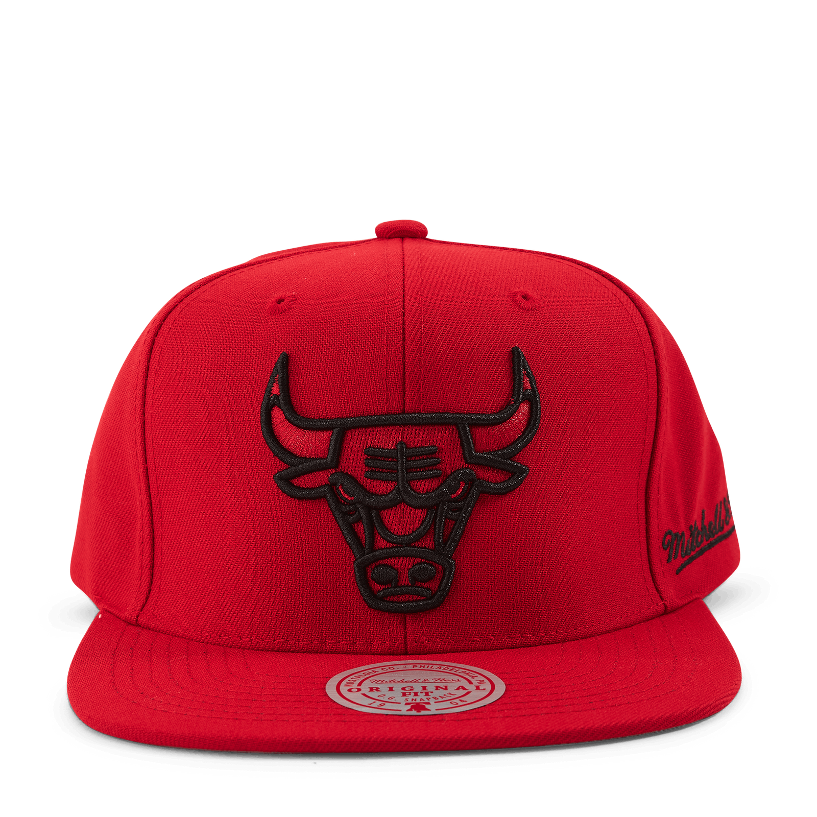Christmas Day Snapback