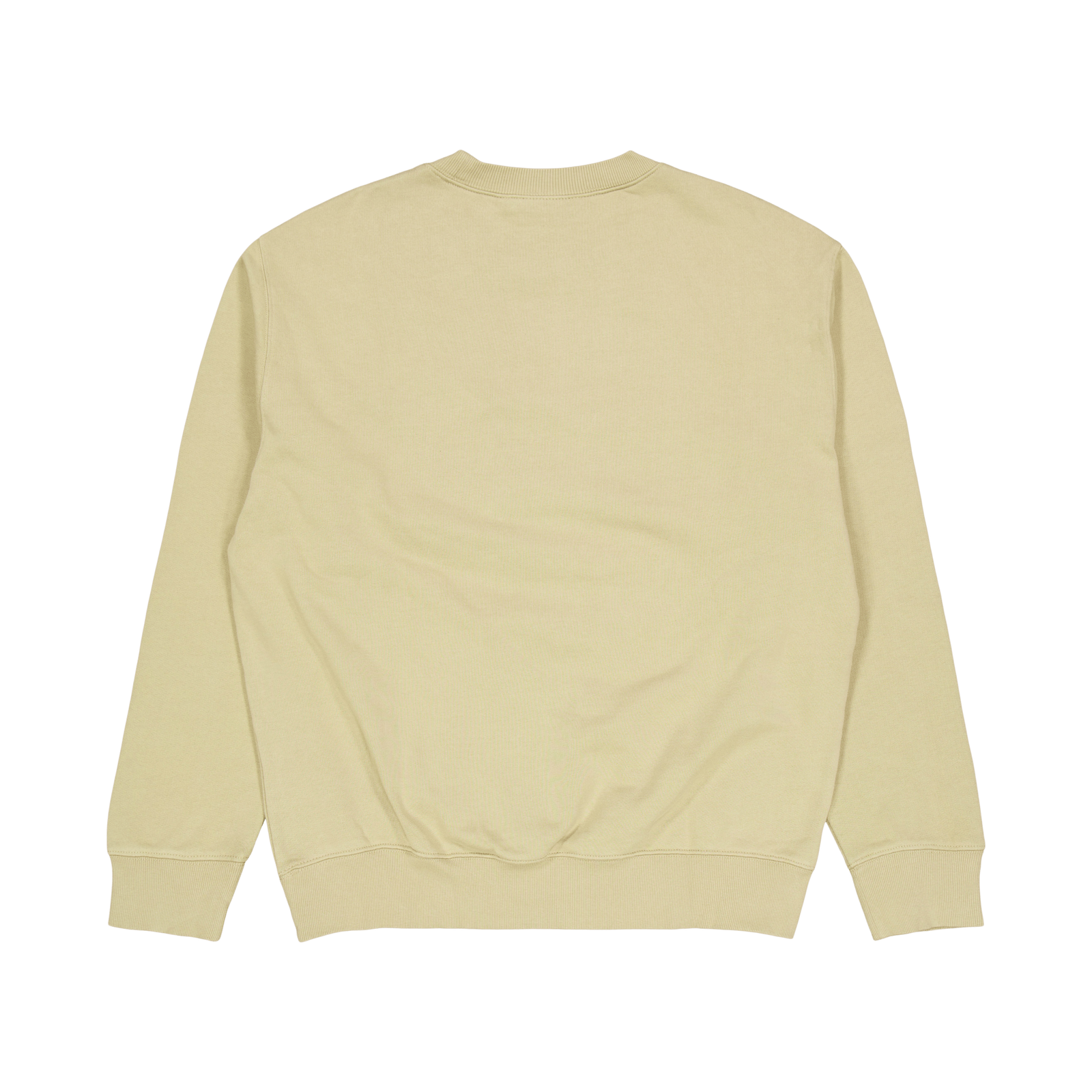 Pocket Sweat Ammonite