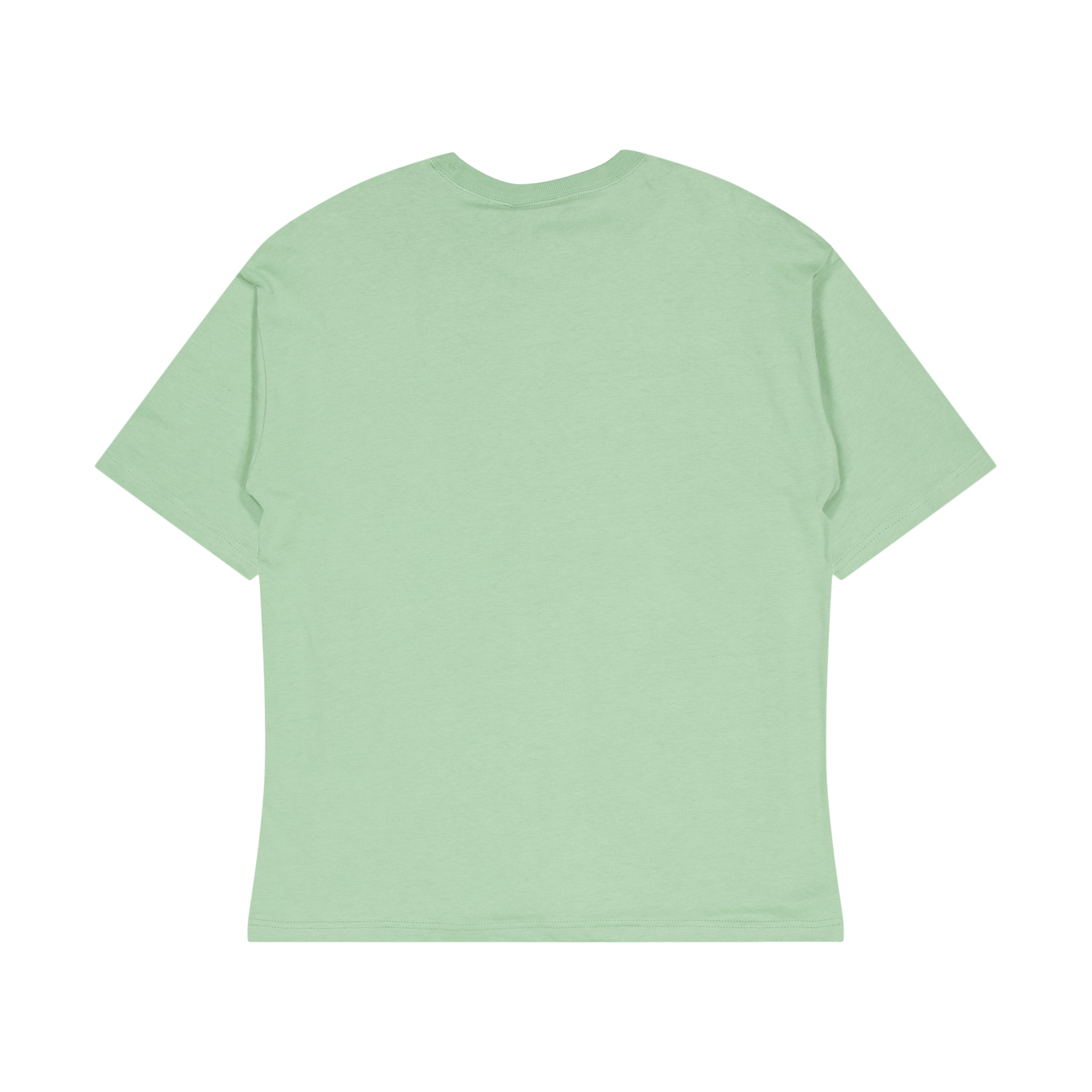 Crewneck T-shirt Loden Frost