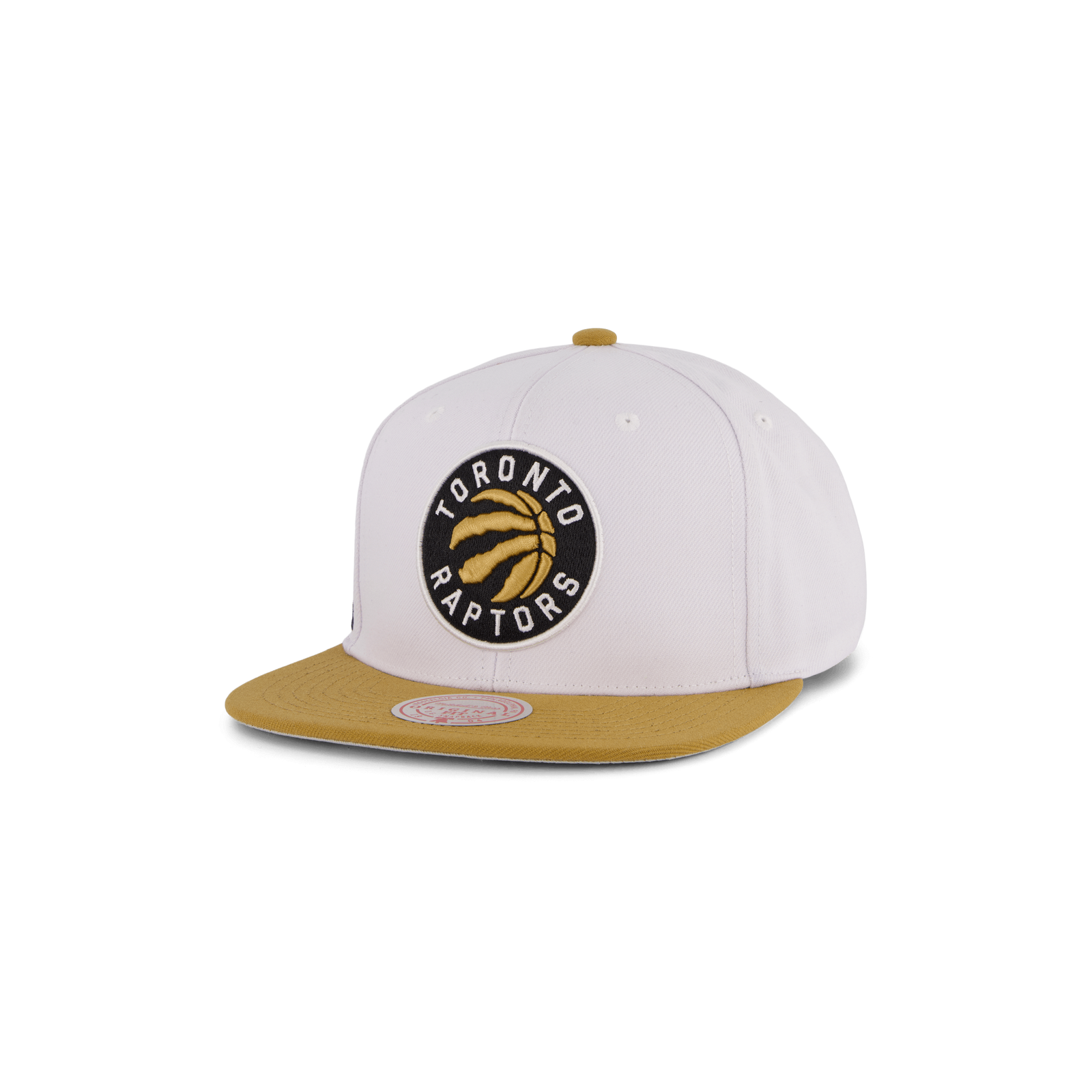 Raptors Side Core 2.0 Snapback