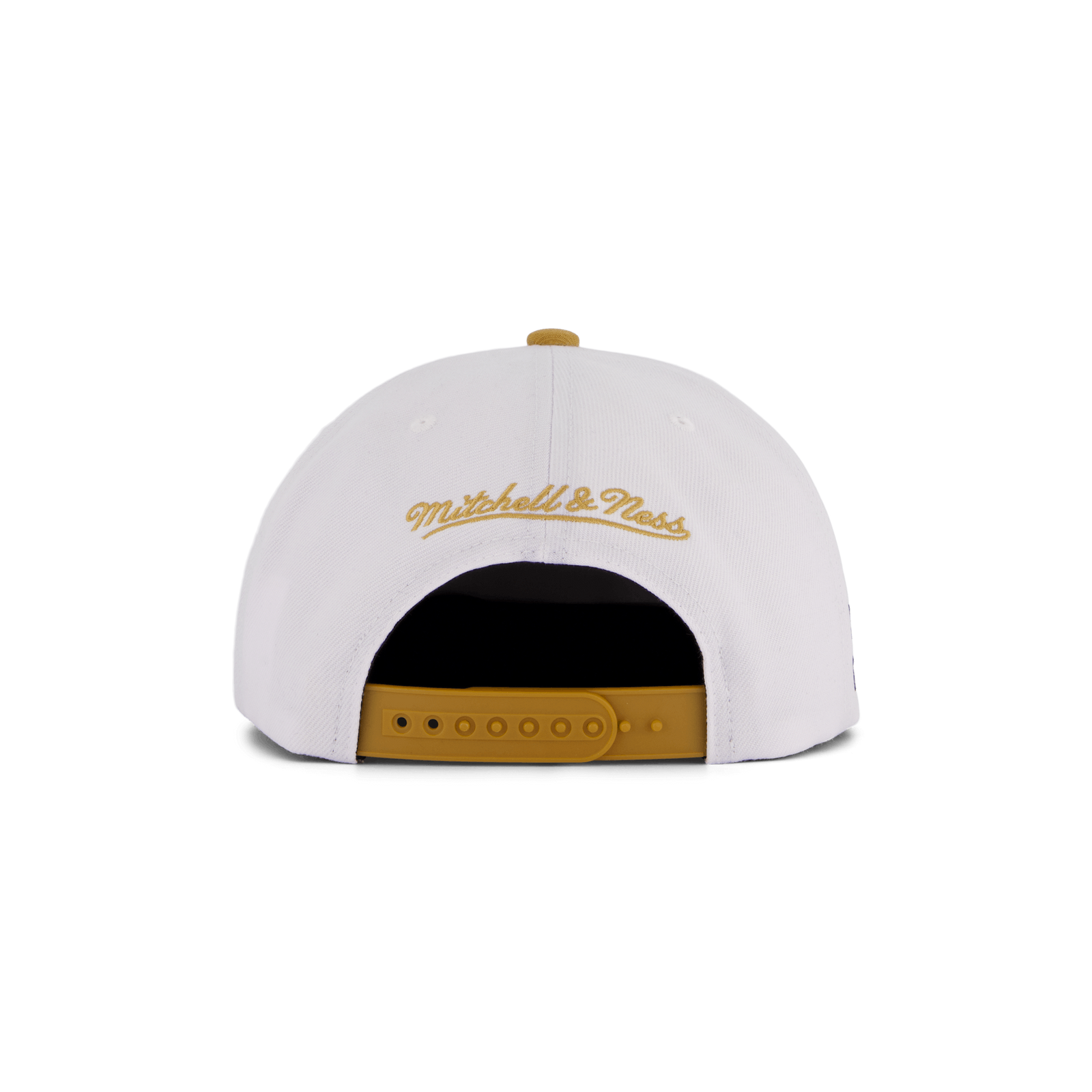 Raptors Side Core 2.0 Snapback