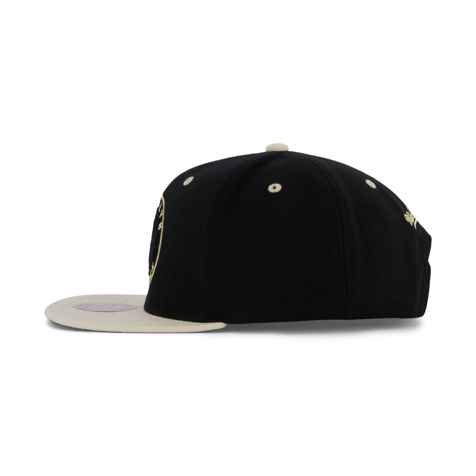 Nets Pin Drop Snapback