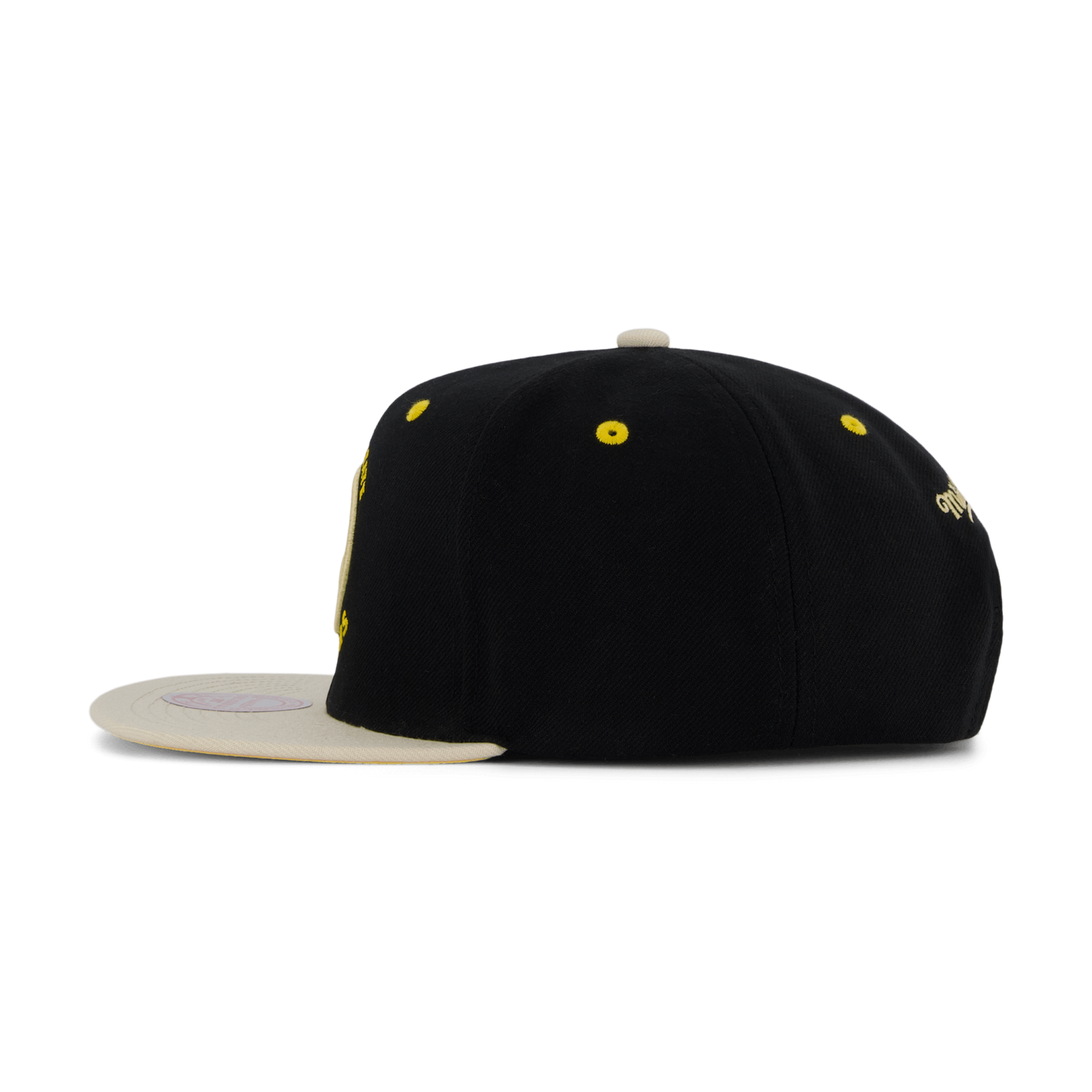 Warriors Pin Drop Snapback