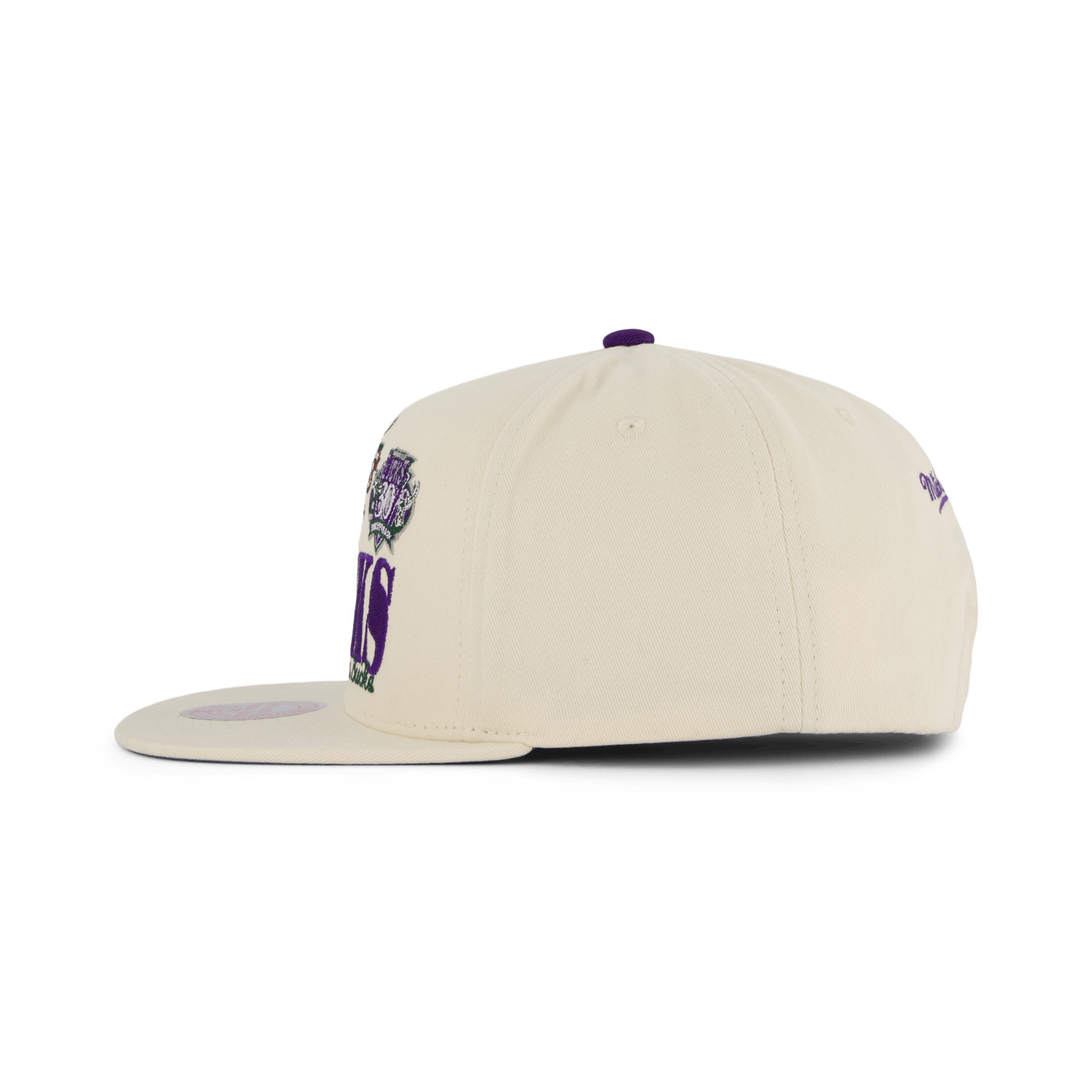 Bucks Reframe Retro Snapback HWC