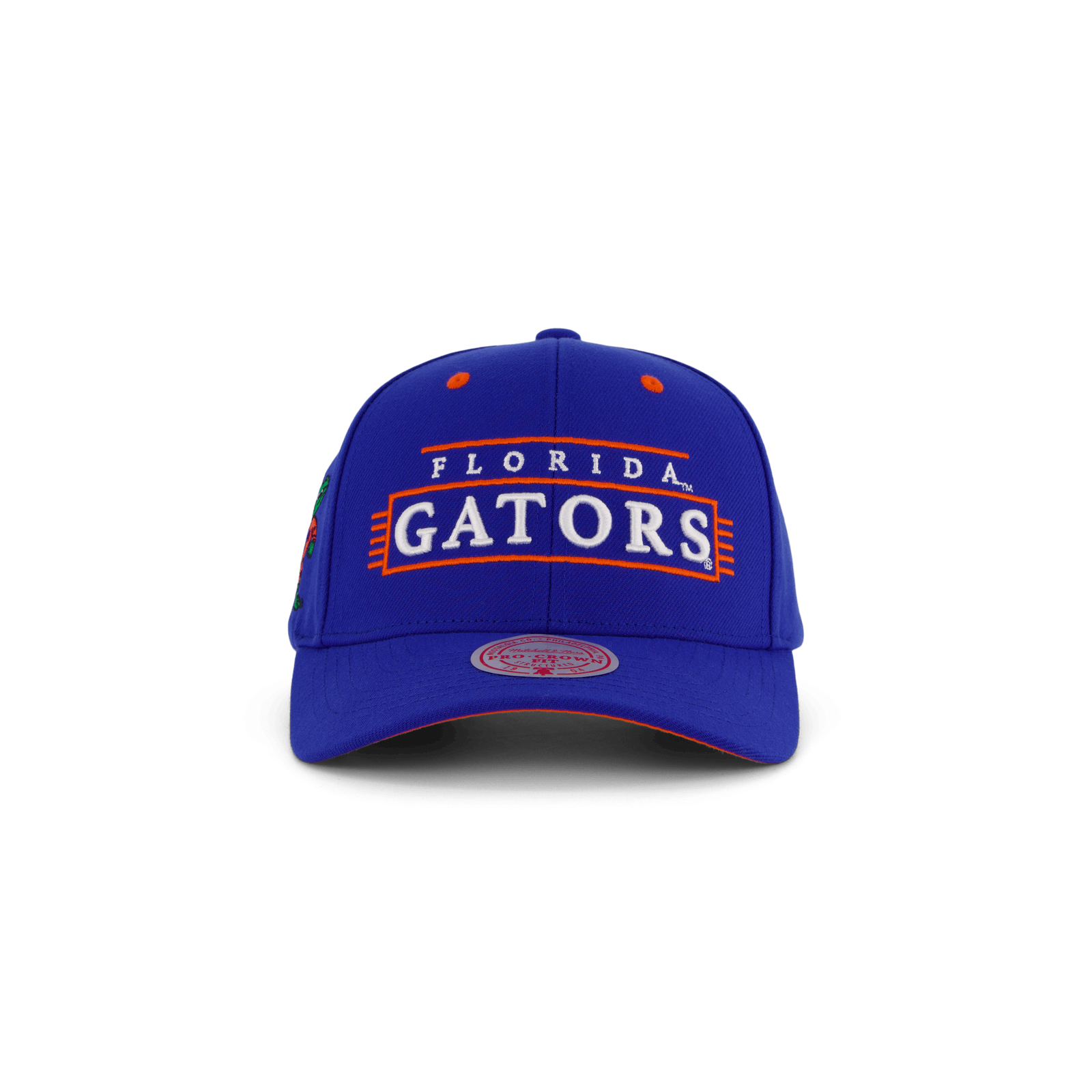 Gators Team Lofi Pro Snapback