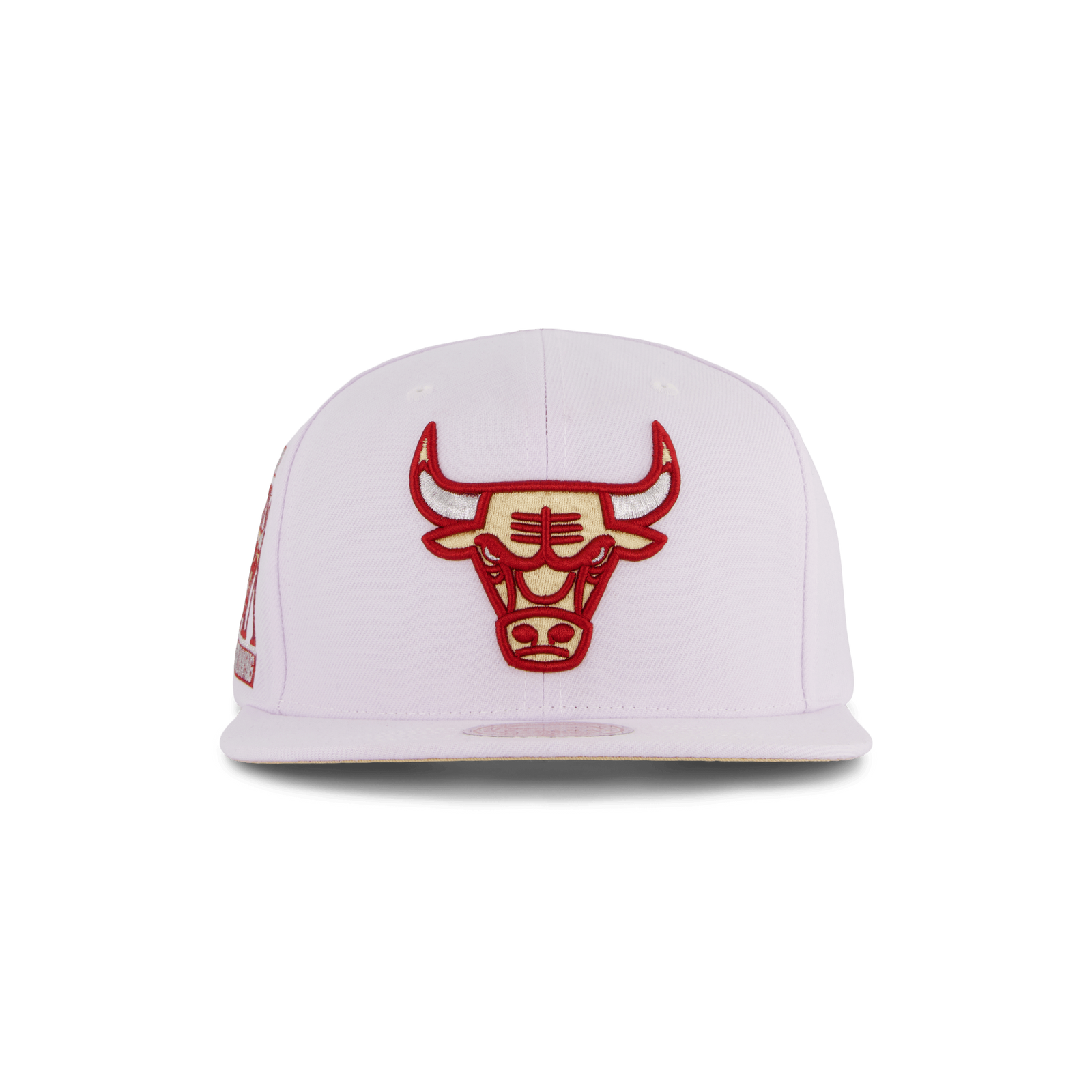 Bulls Winter Snapback