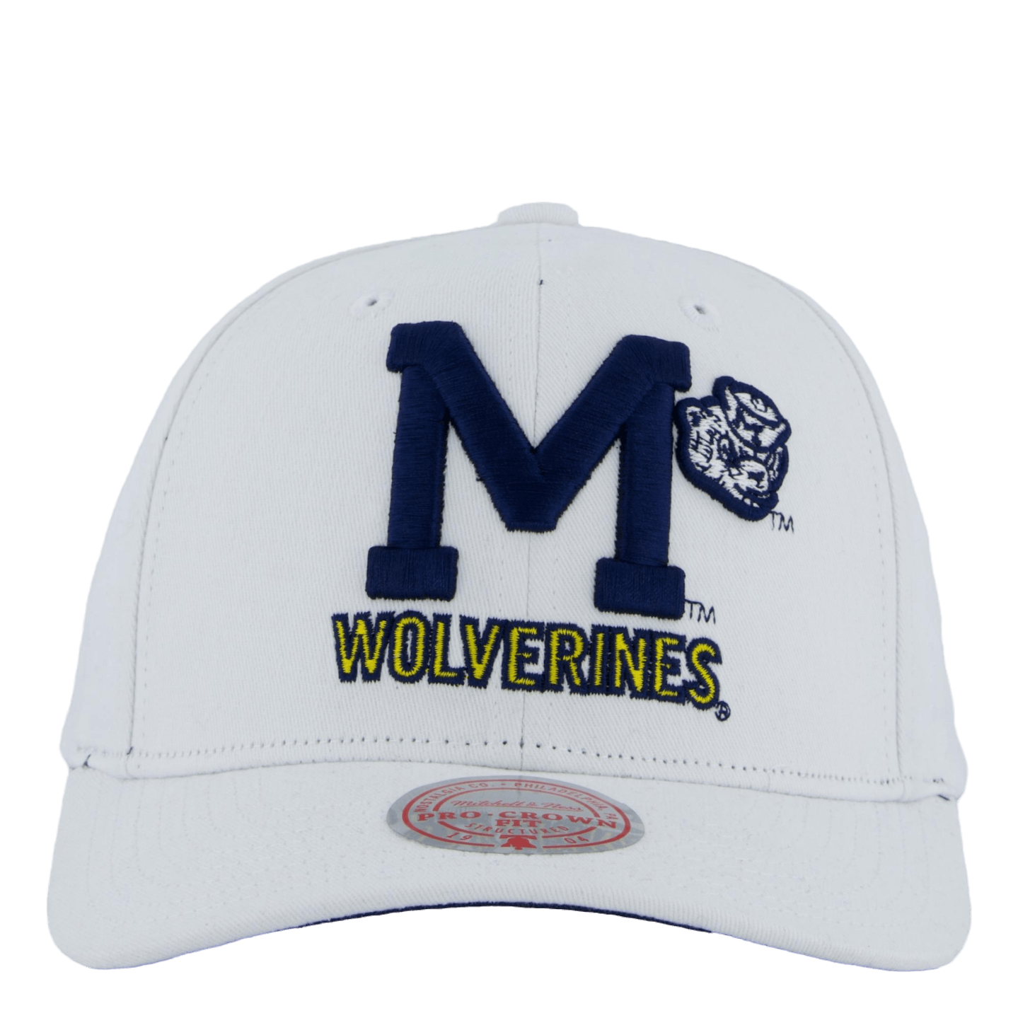 Wolverines All In Pro Snapback
