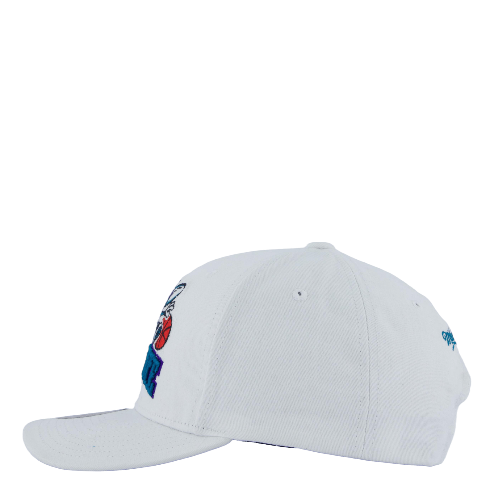 hornets All In Pro Snapback HWC