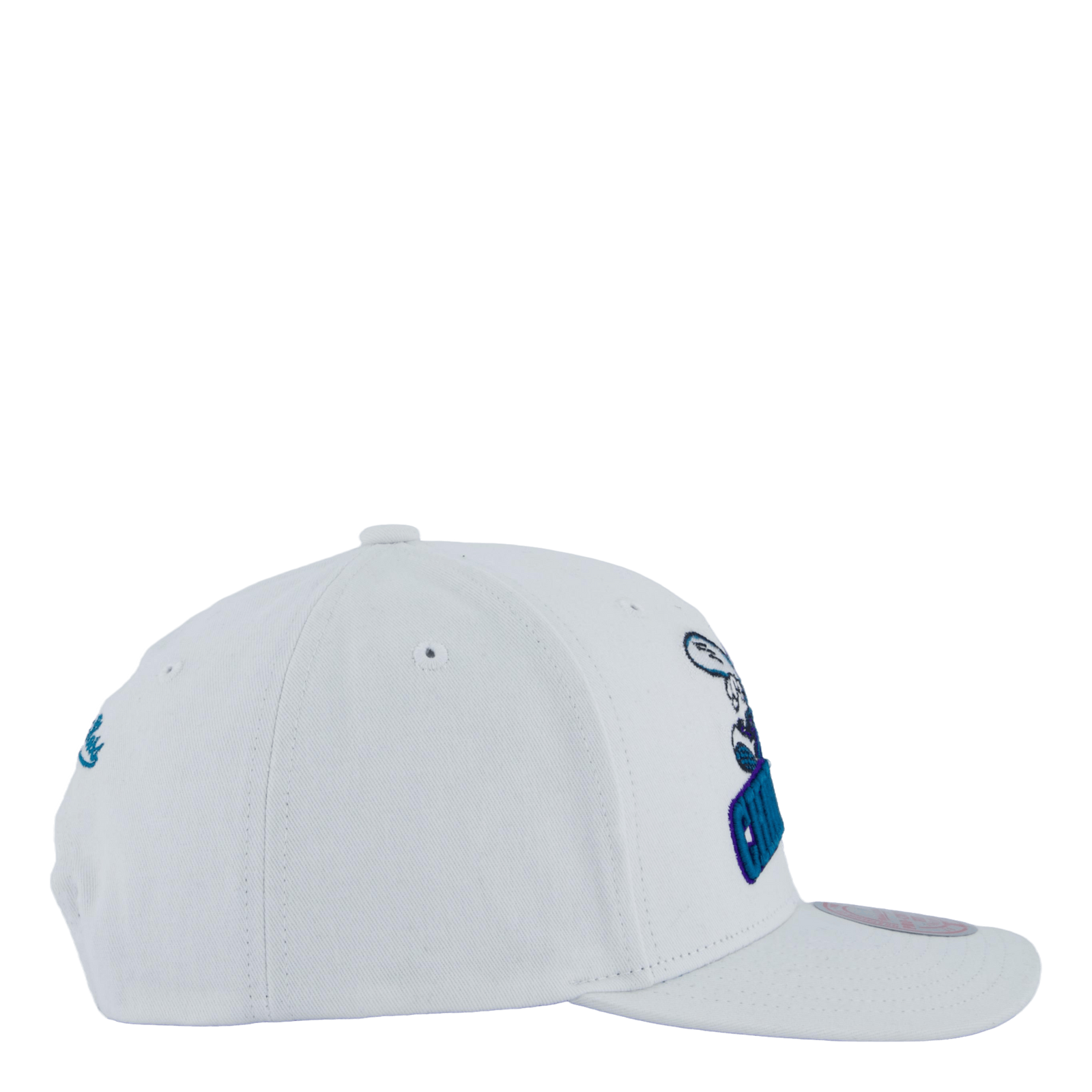 hornets All In Pro Snapback HWC
