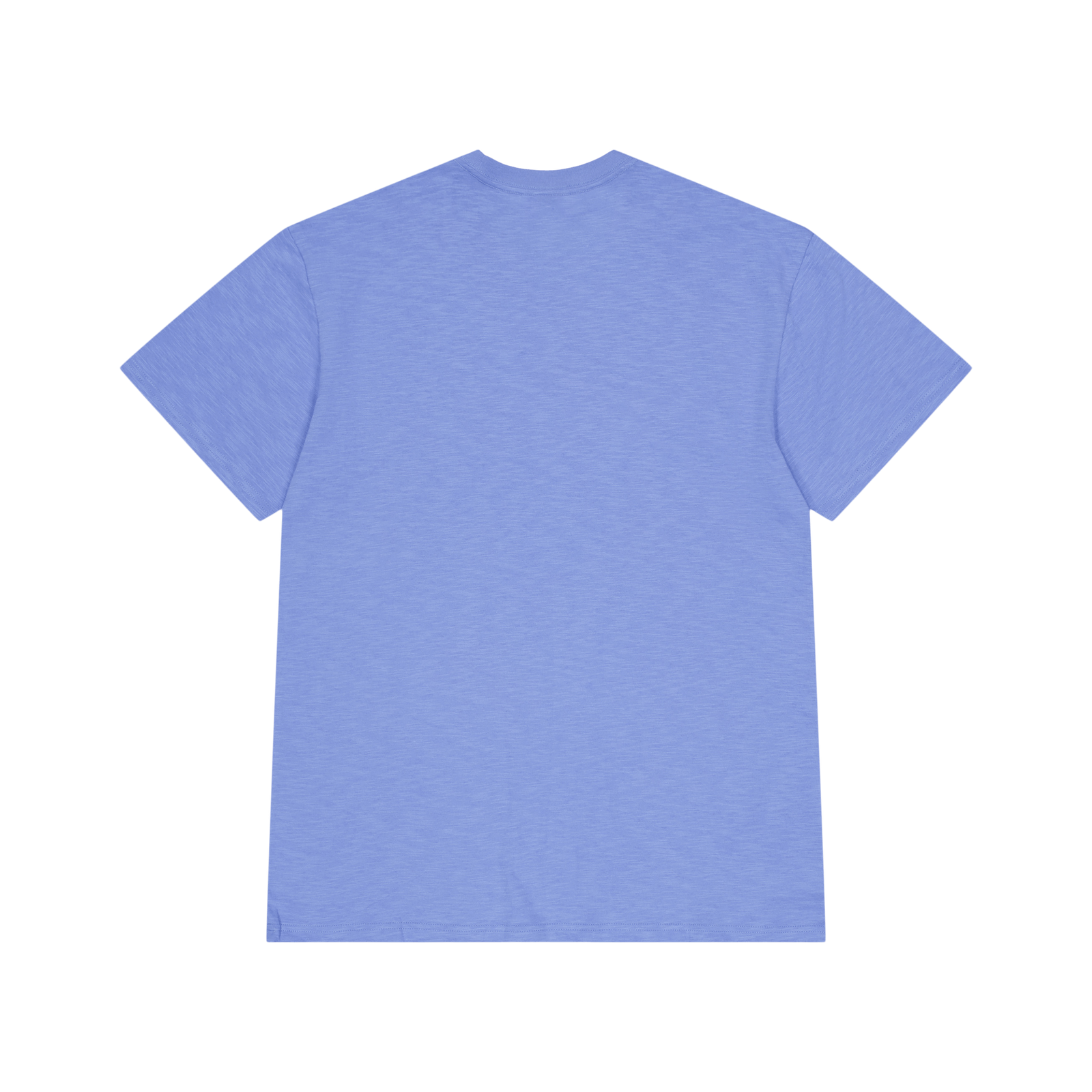 Legendary Slub Ss Tee Light Blue