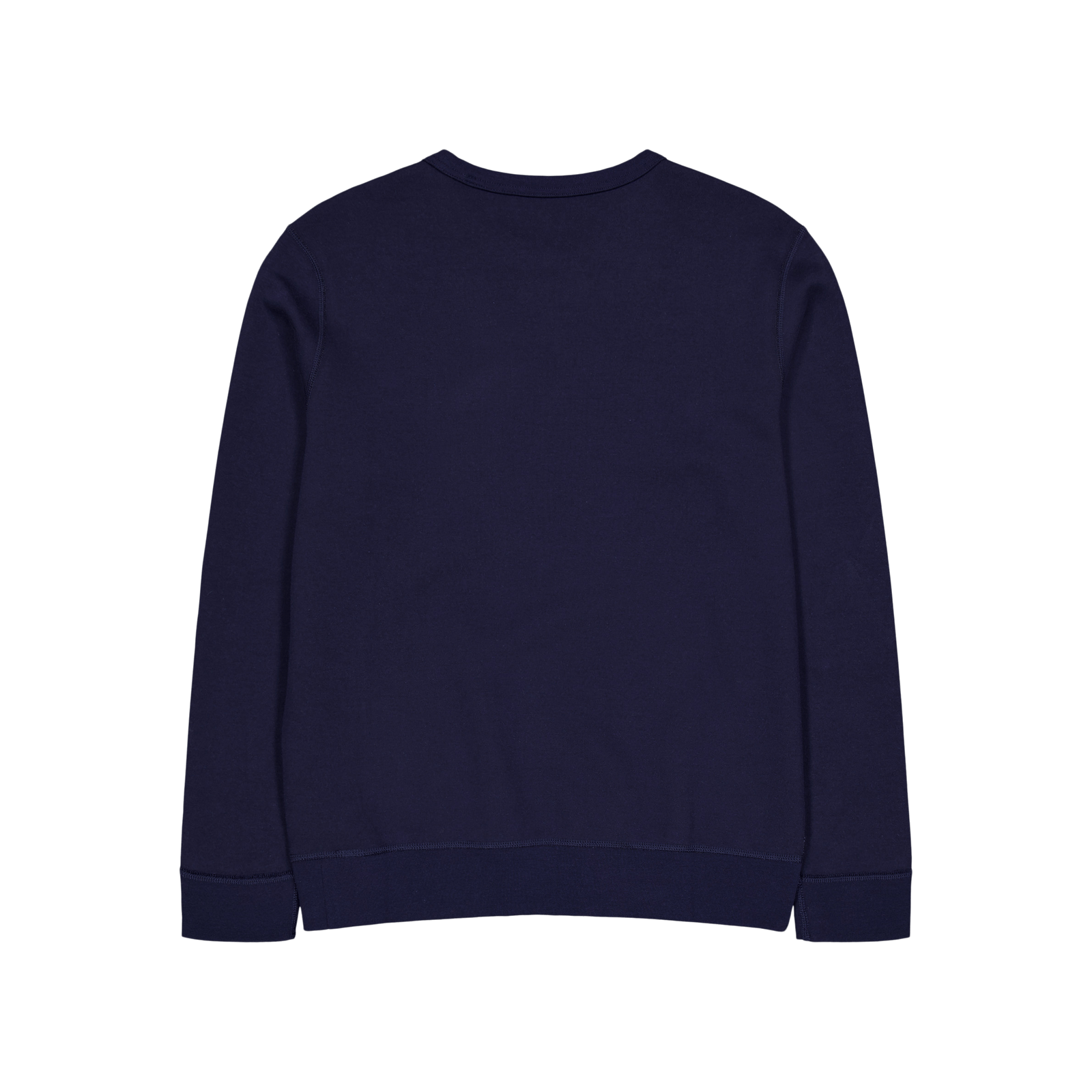 Polo Ralph Lauren 30/1 Double Knit Sweatshirt Aviator