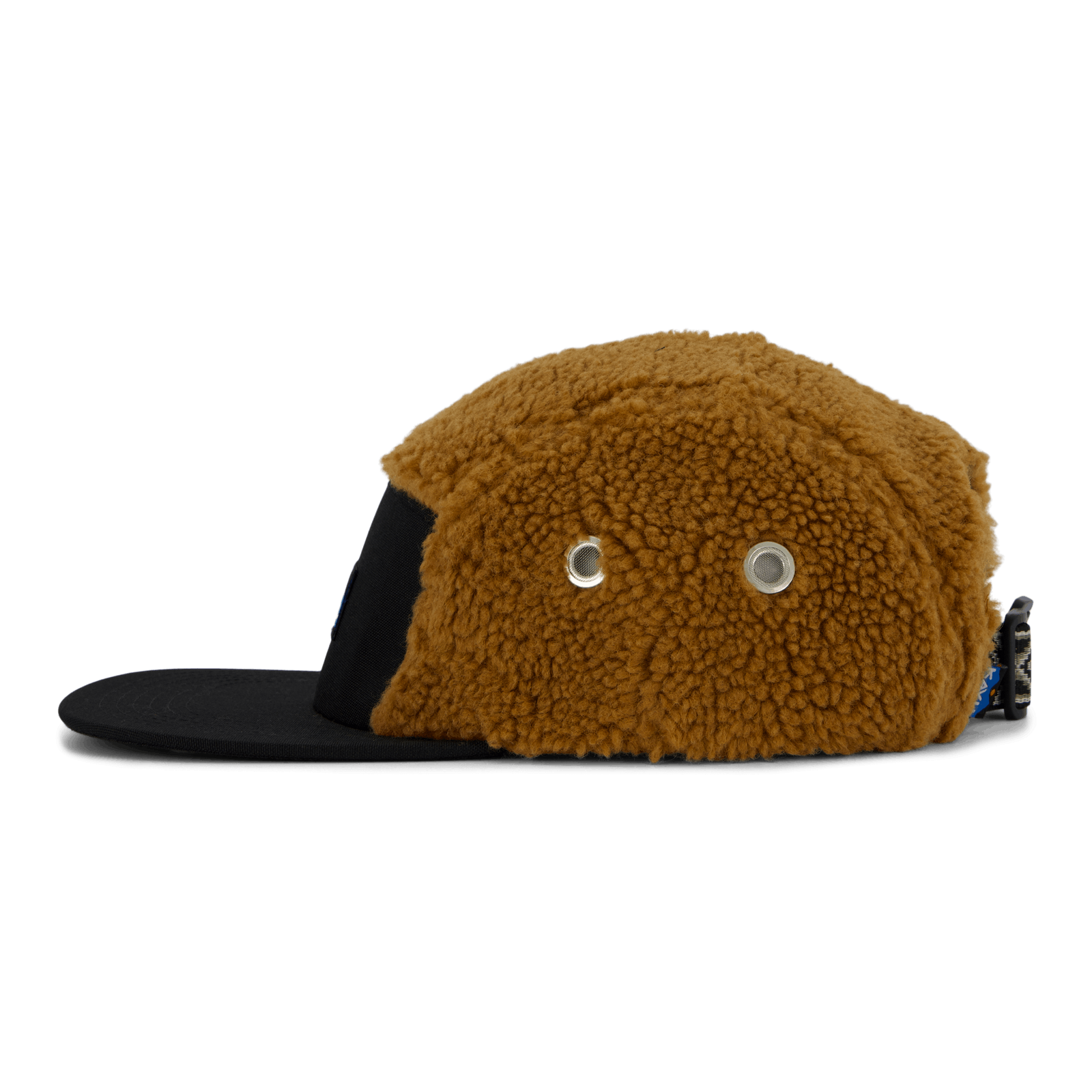 Fur Ball Camp Redwood