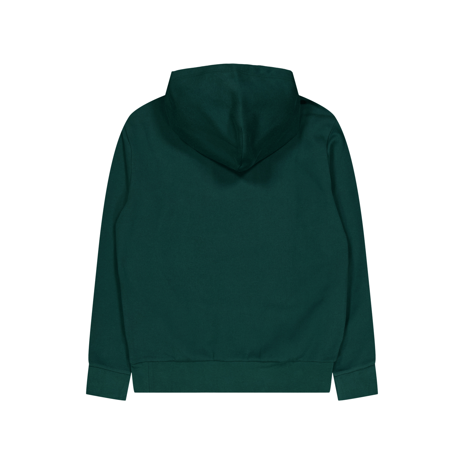 Polo Ralph Lauren Rl Fleece Polo Hoodie 004 Moss Agate