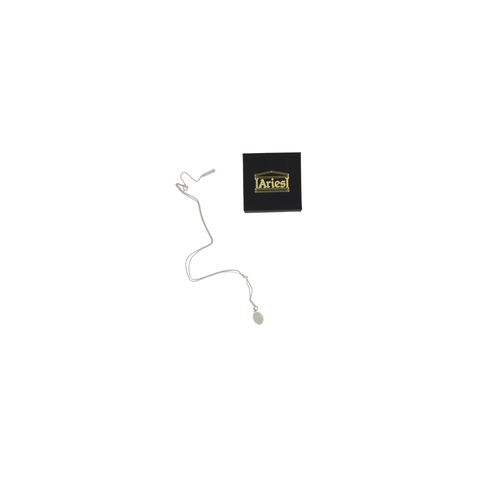 Chain Necklace With Fly Paved Silver