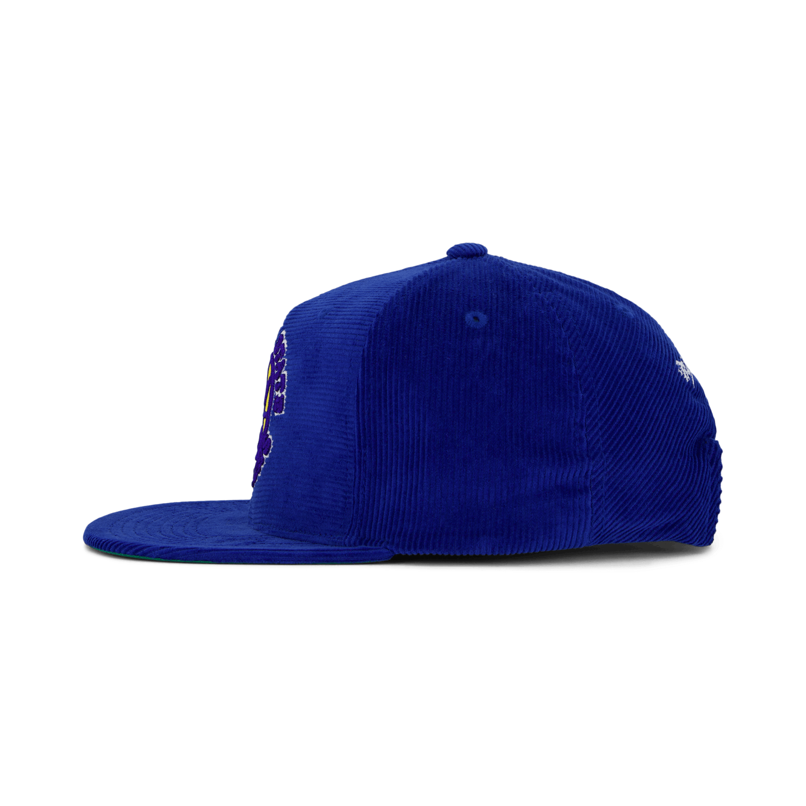 Warriors All Directions Snapback HWC