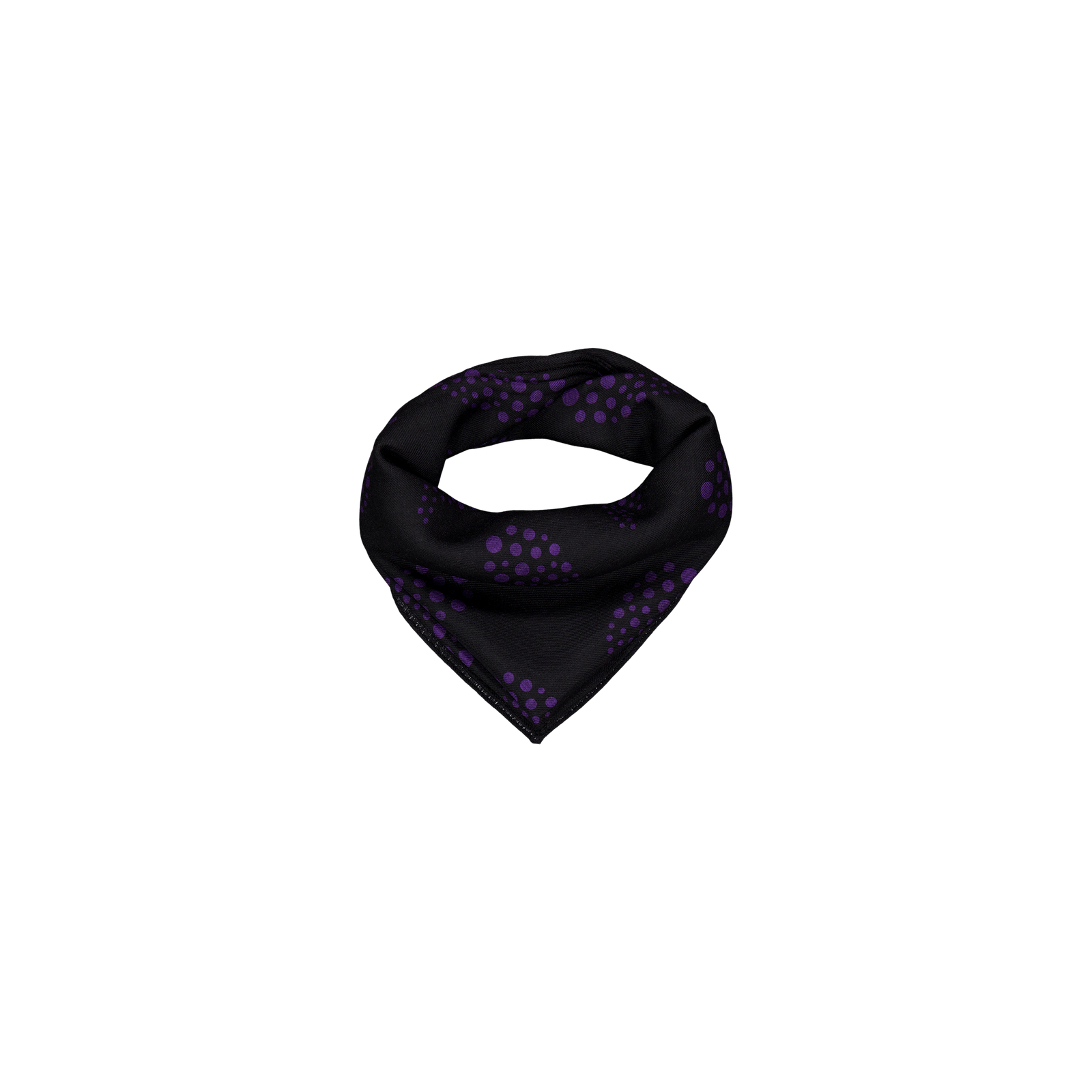 Scarf - W/s Twill / Paisley Pr C-black