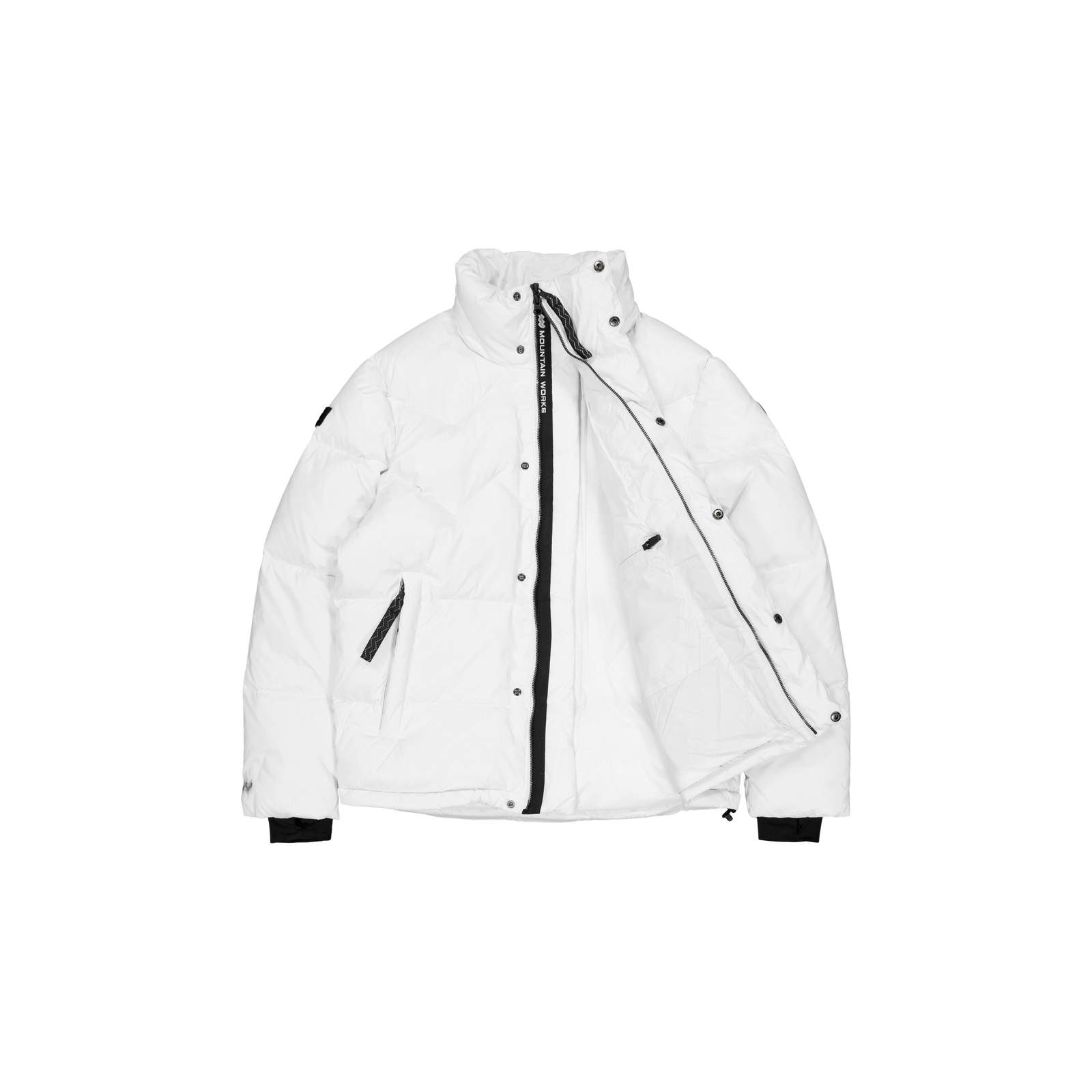 Paragon Down Parka