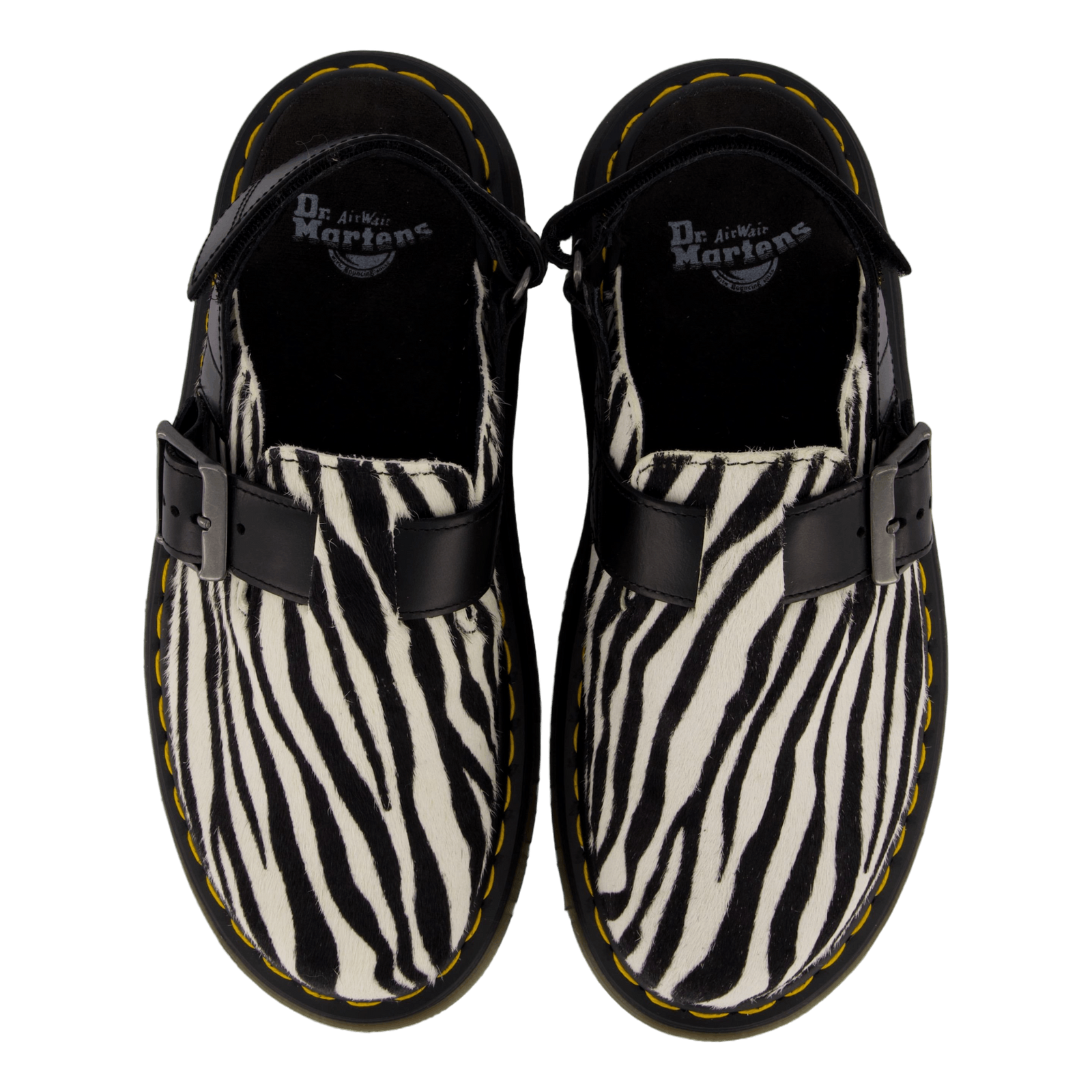 Jorge Ii Zebra/black Hair On/atlas