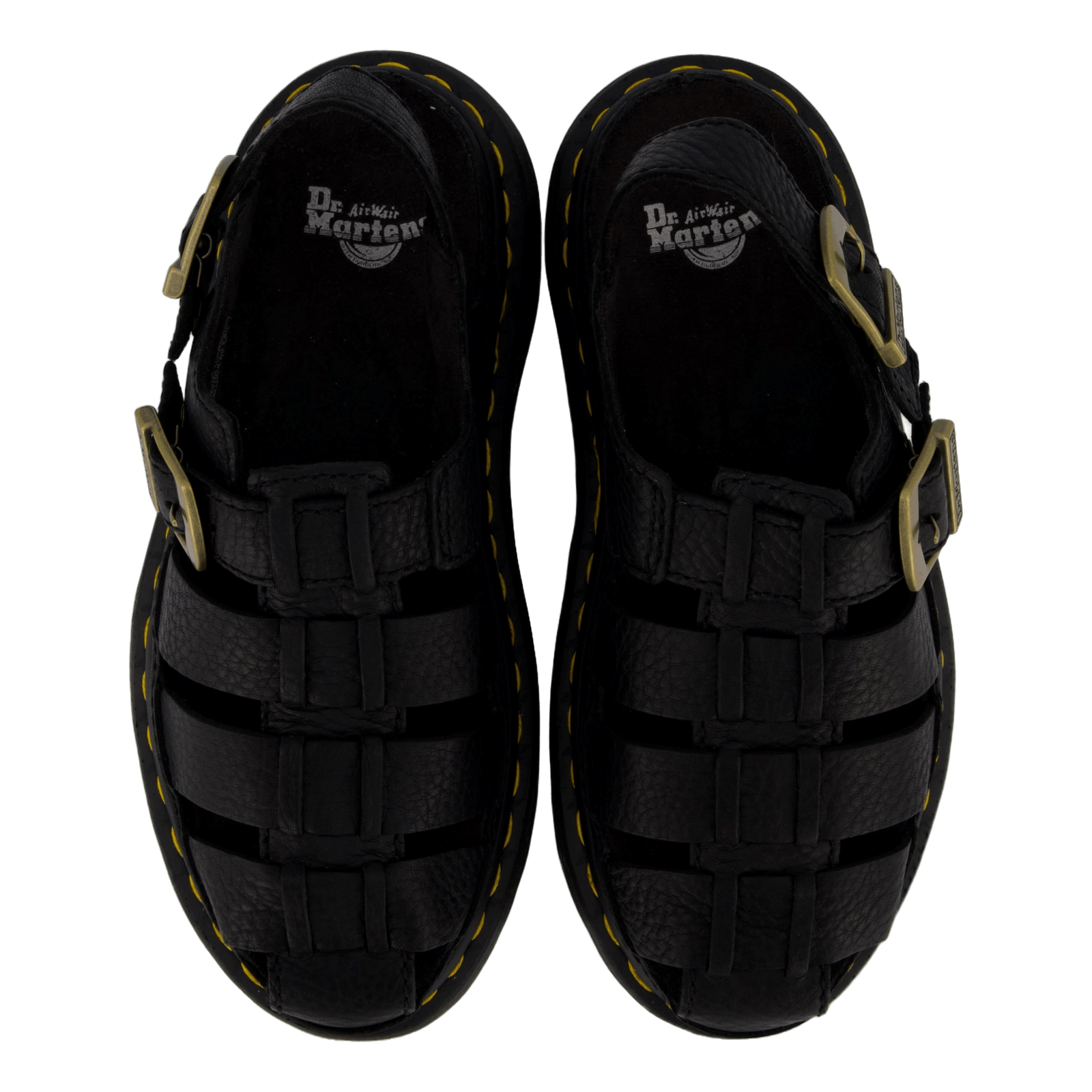 Wrenlie Black Grizzly