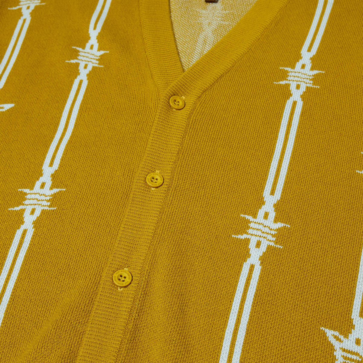 Barbed Wire Cardigan Cactus