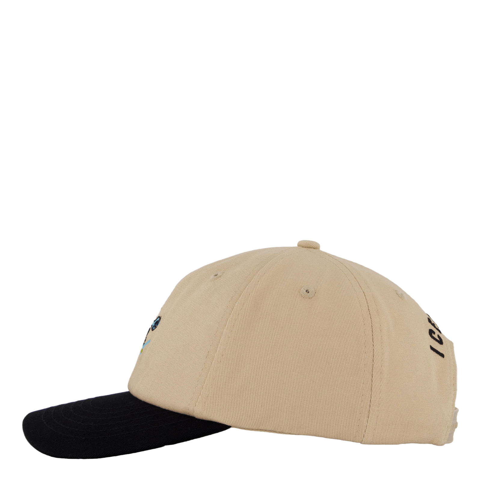 Team Eu Skate Cone Dad Cap Beige