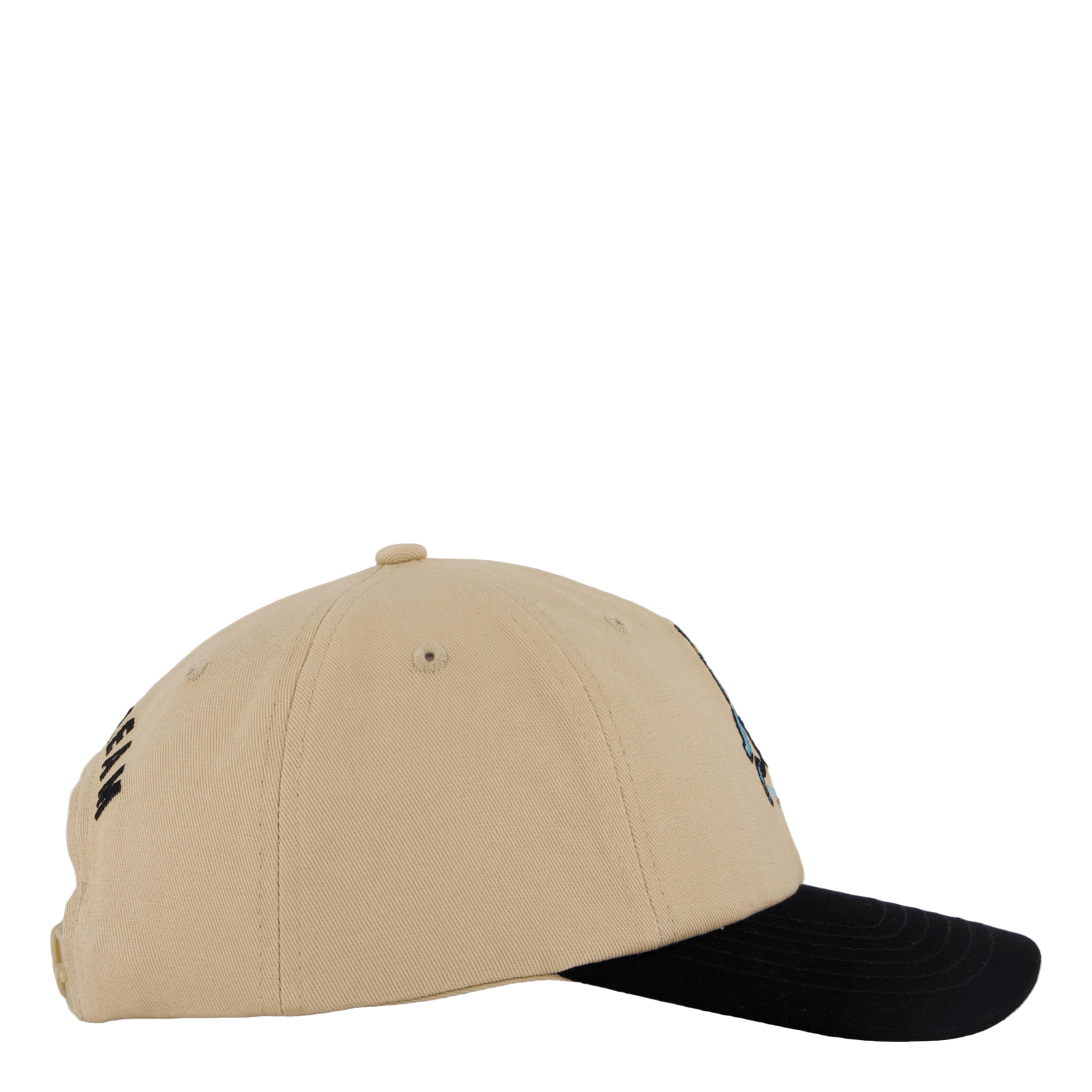 Team Eu Skate Cone Dad Cap Beige