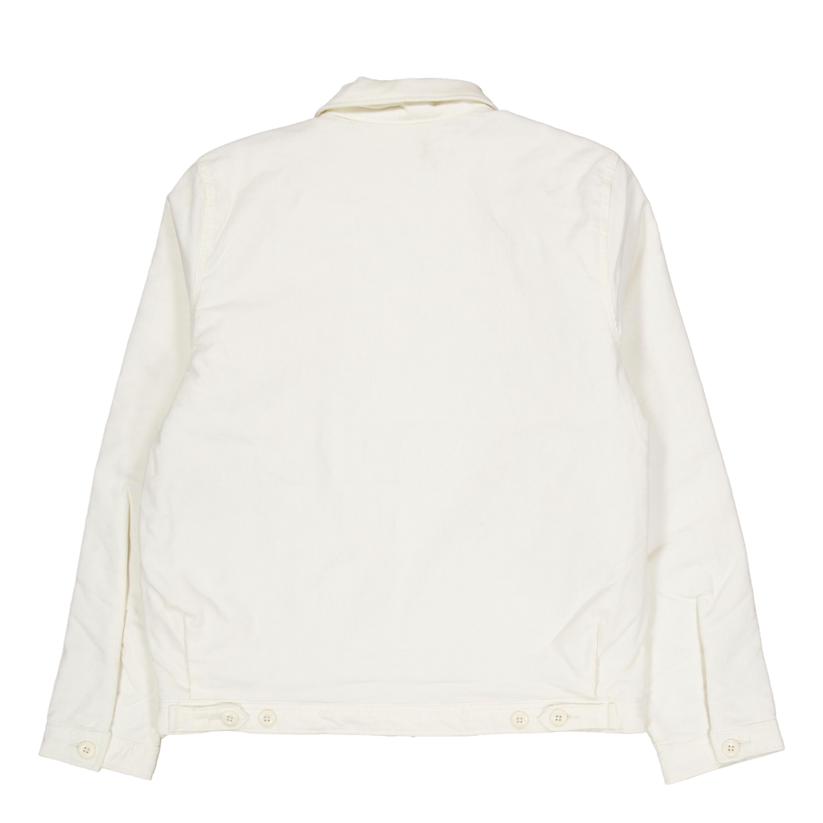 Corduroy Eisenhower Egret Egret