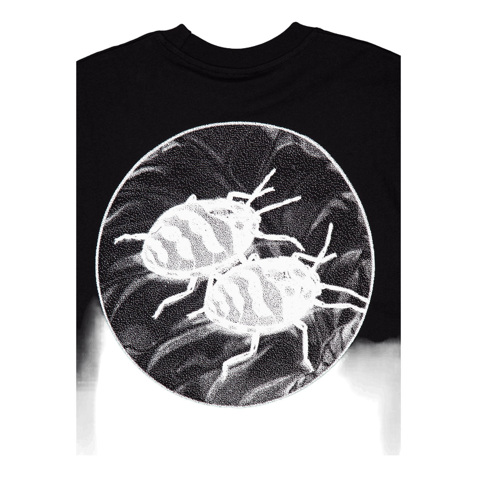 Nature Study Tee Black