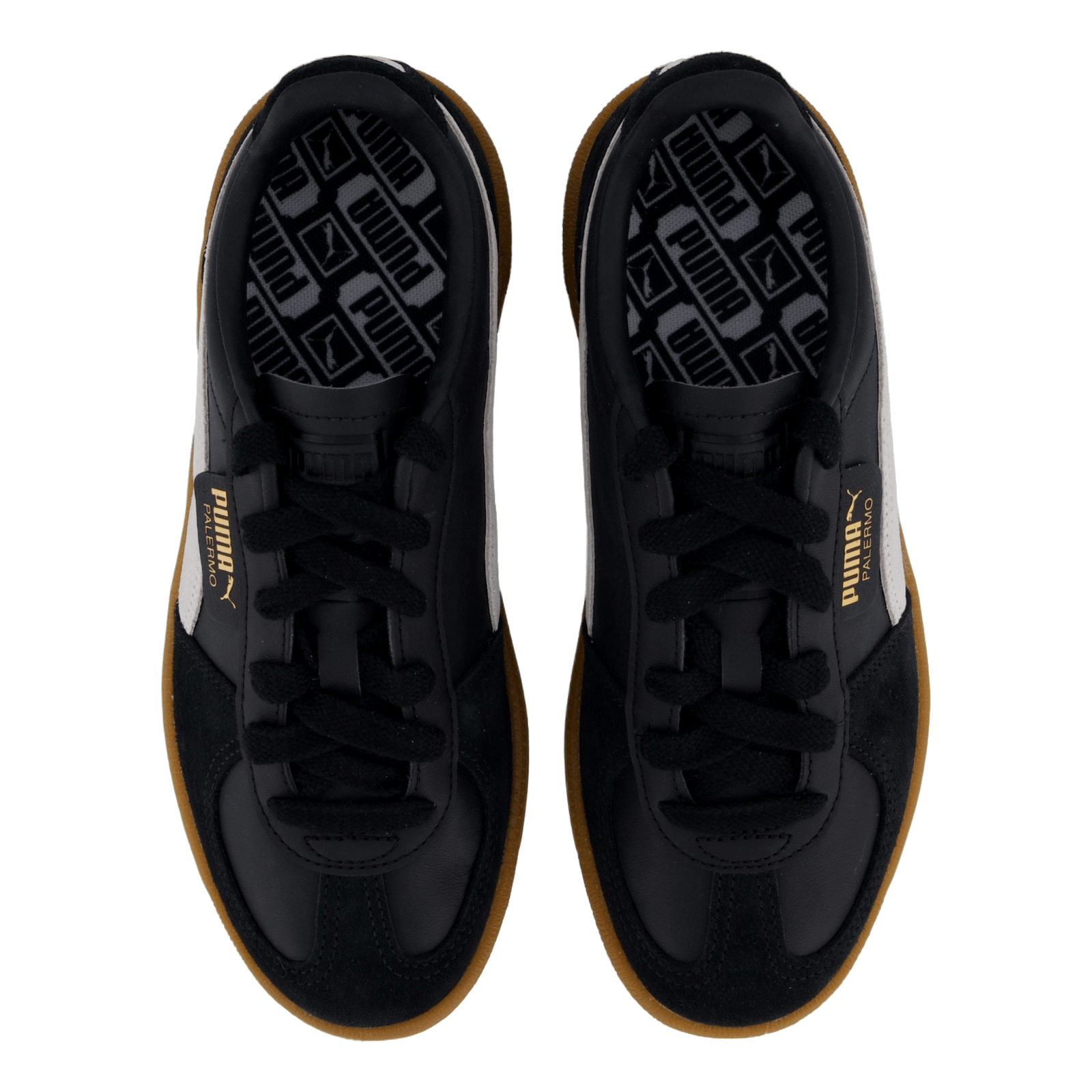 Palermo Black-feather Gray-gum