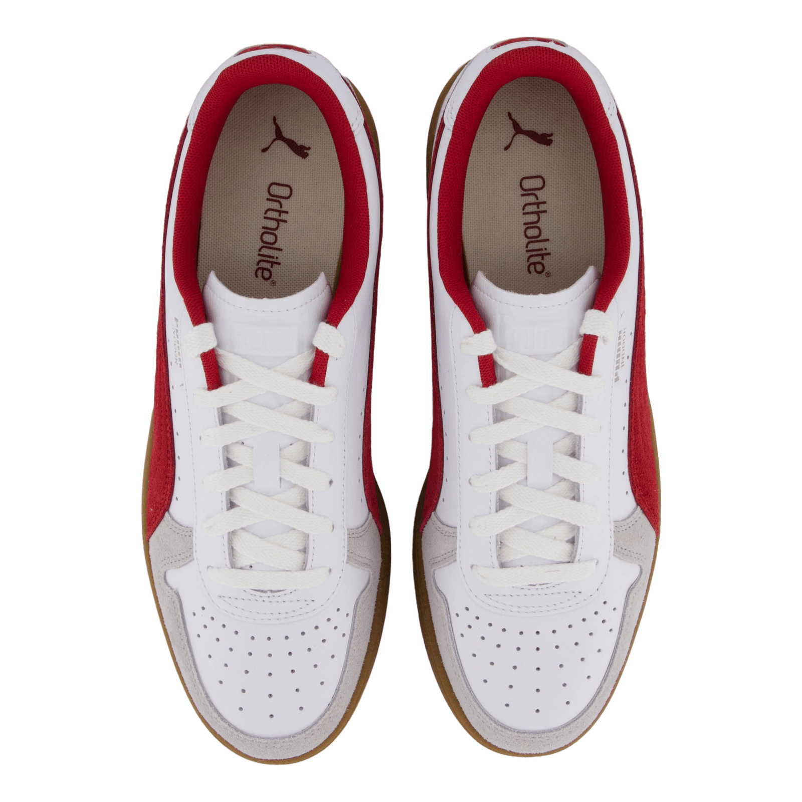 Indoor White-dark Myrtle-gum