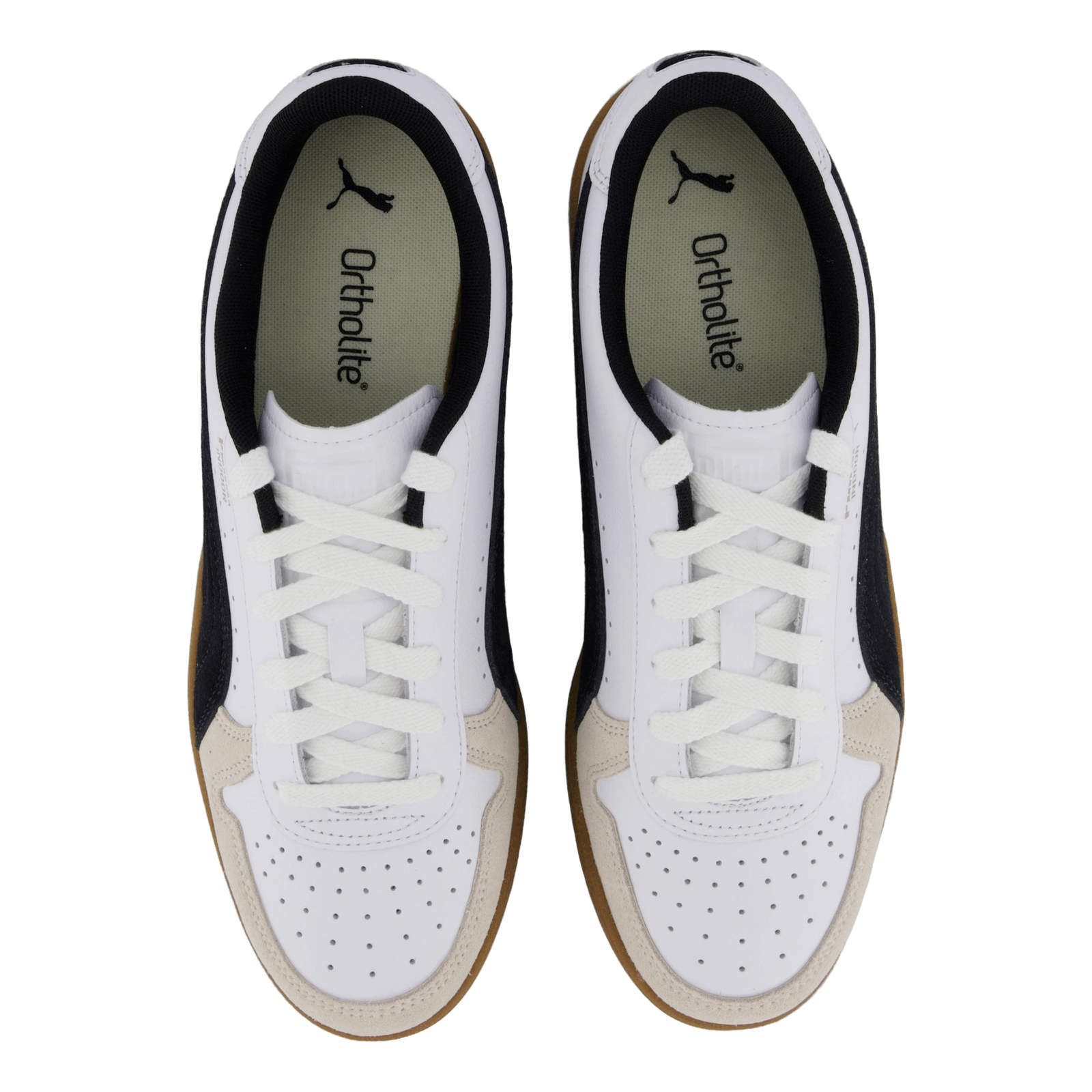 Indoor White-dark Myrtle-gum