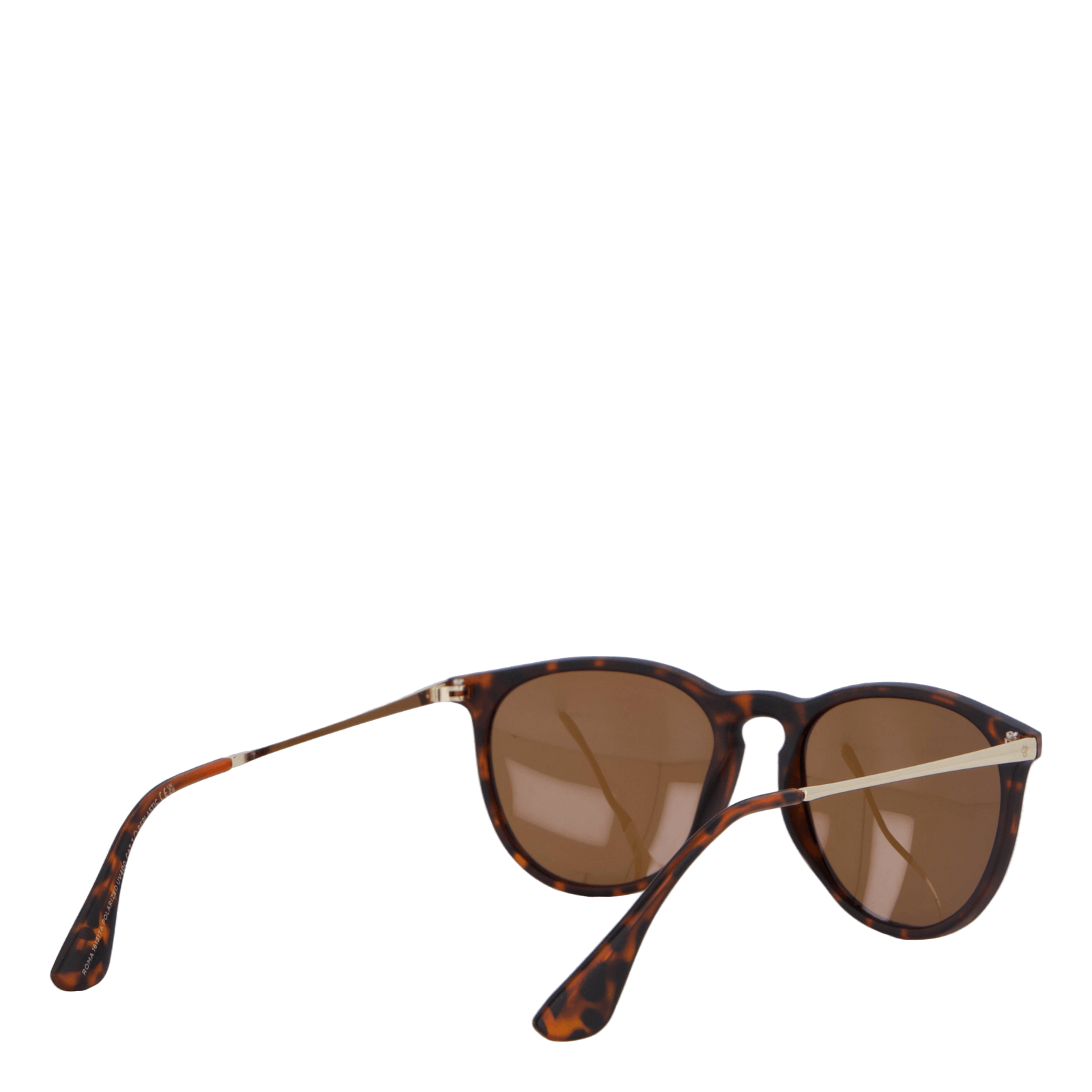 Roma Turtle Brown / Brown