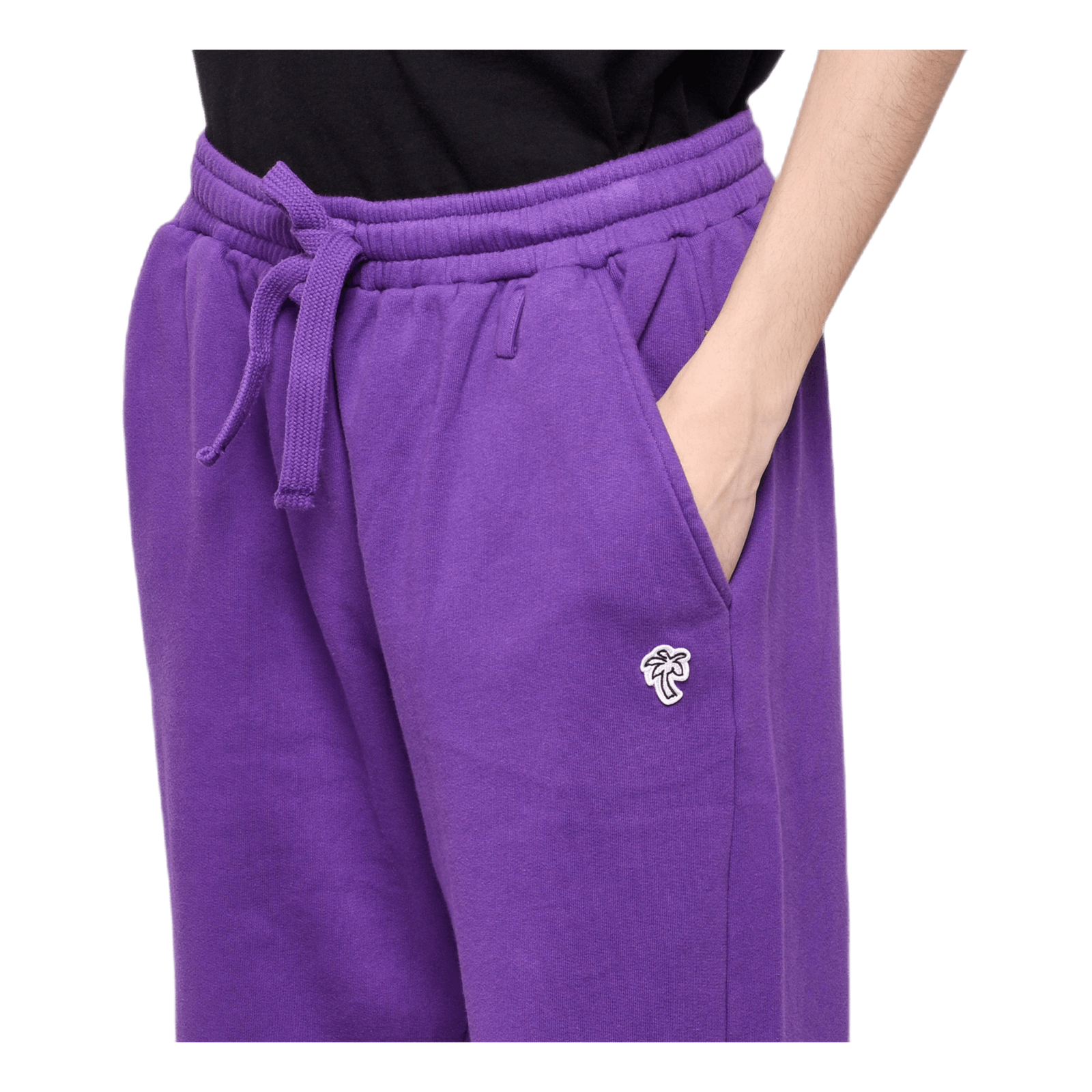 Sweatpants Purple
