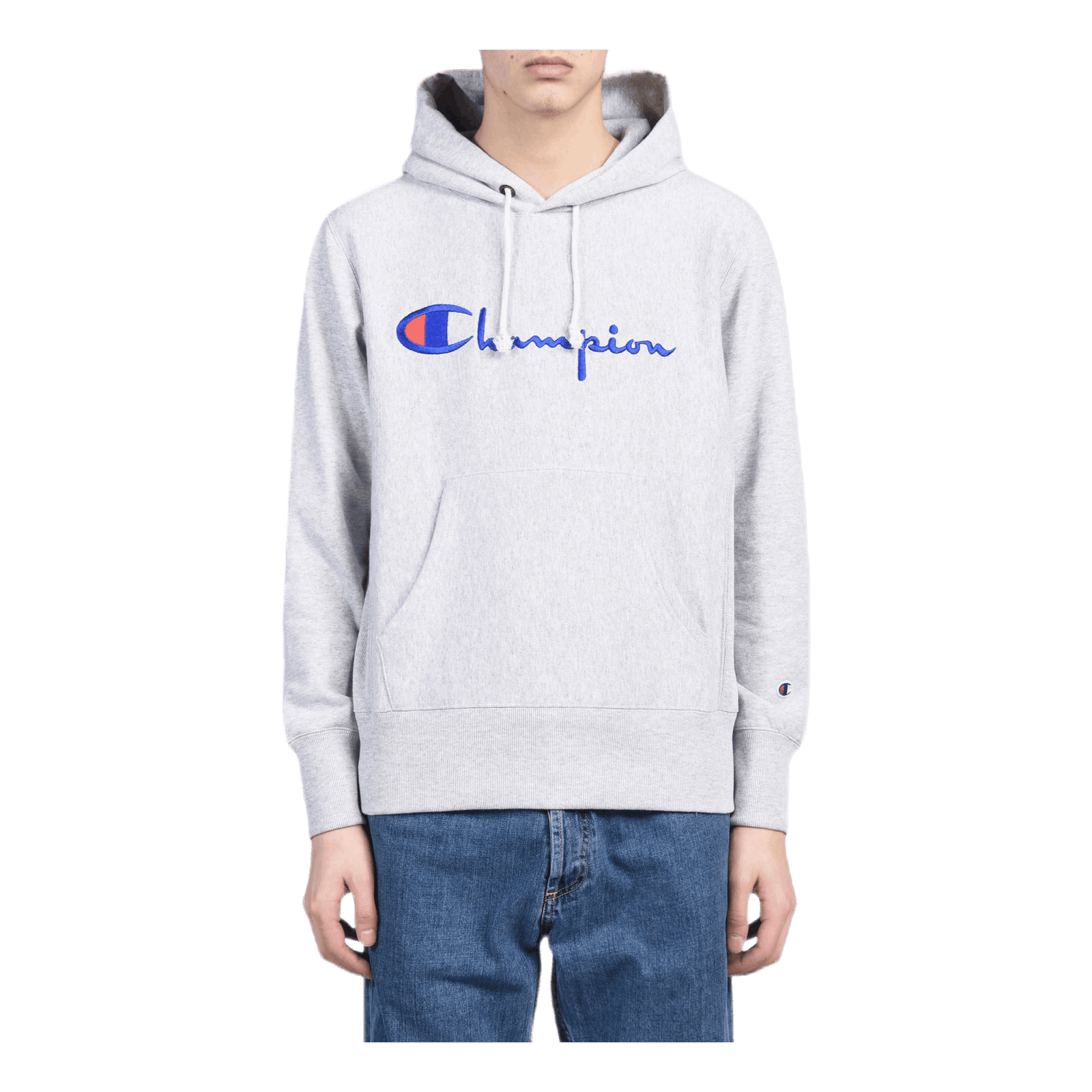 Hooded Sweatshirt Gray