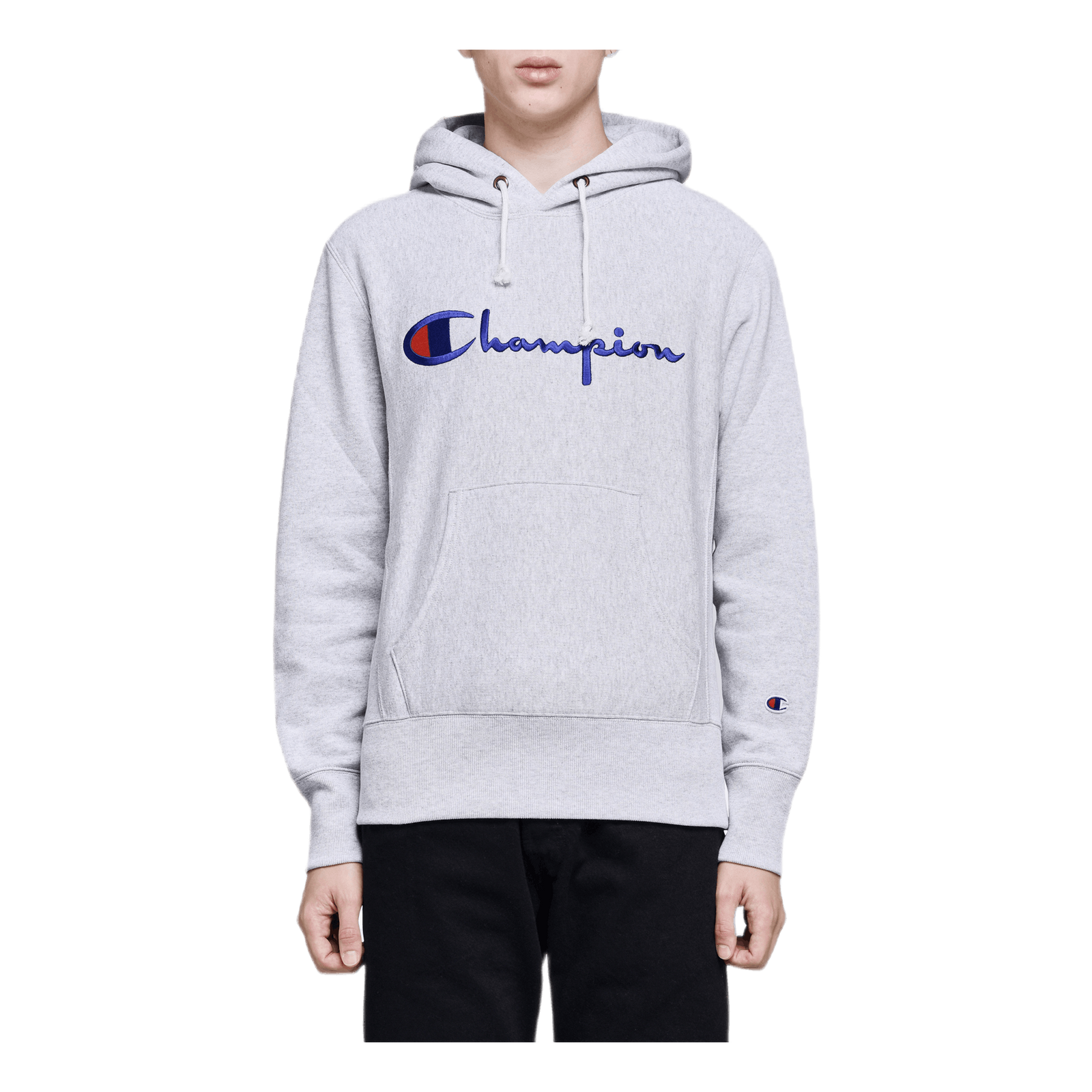 Hooded Sweatshirt Gray