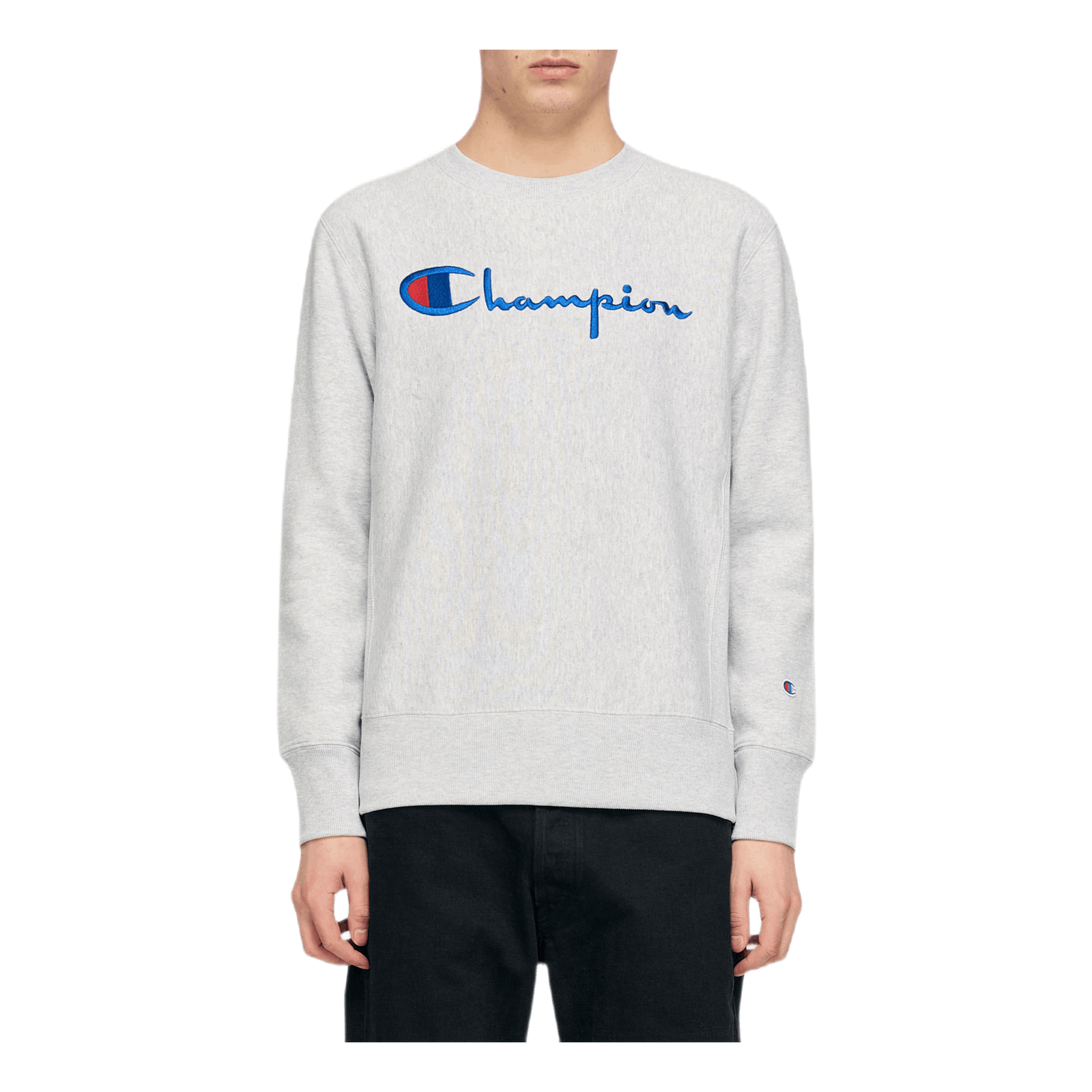 Reverse Weave Crewneck Gray