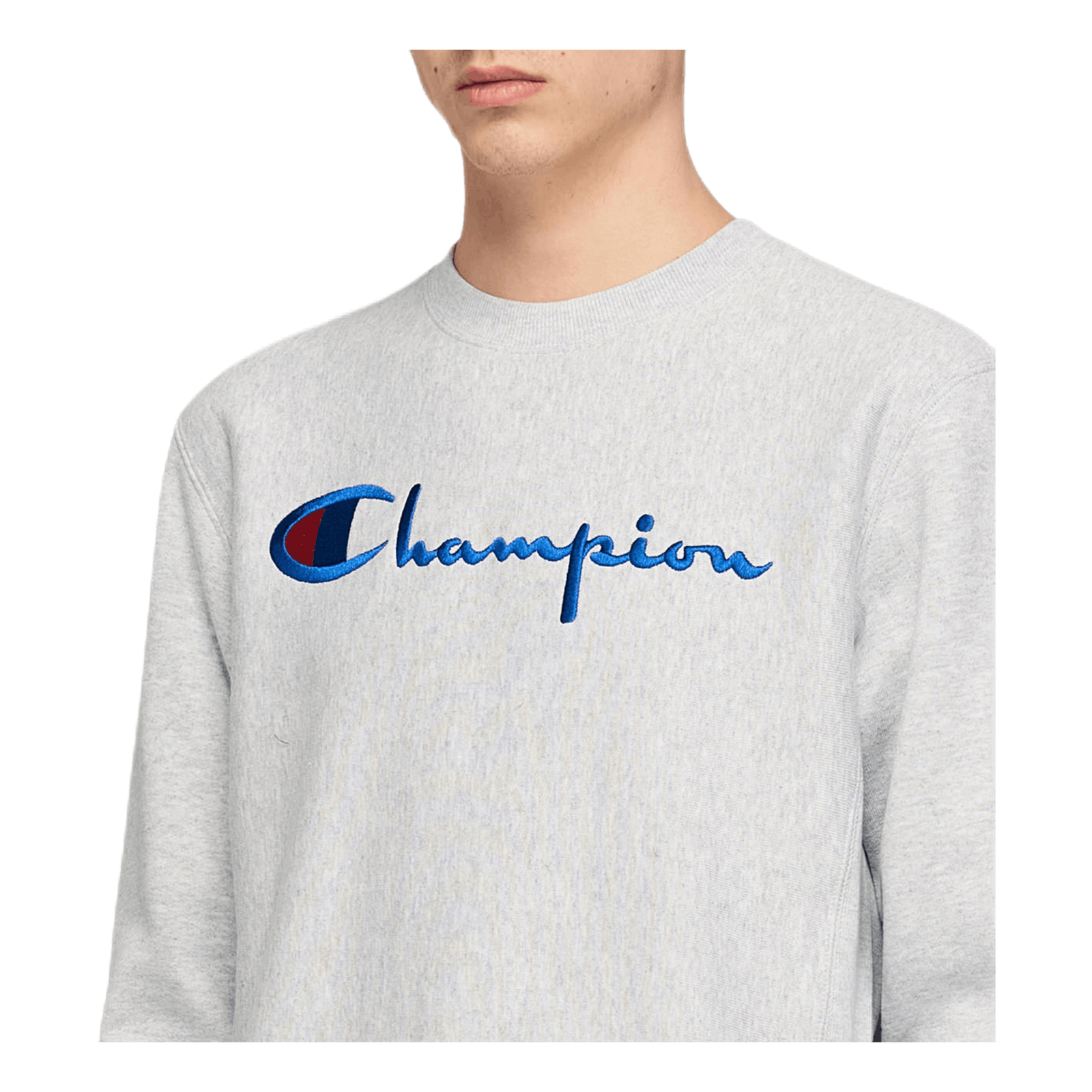 Reverse Weave Crewneck Gray