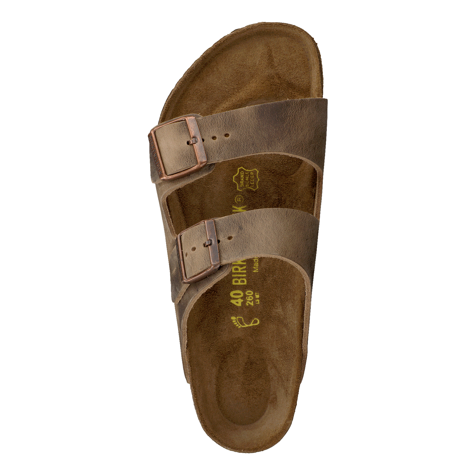 Arizona Regular Tabacco Brown