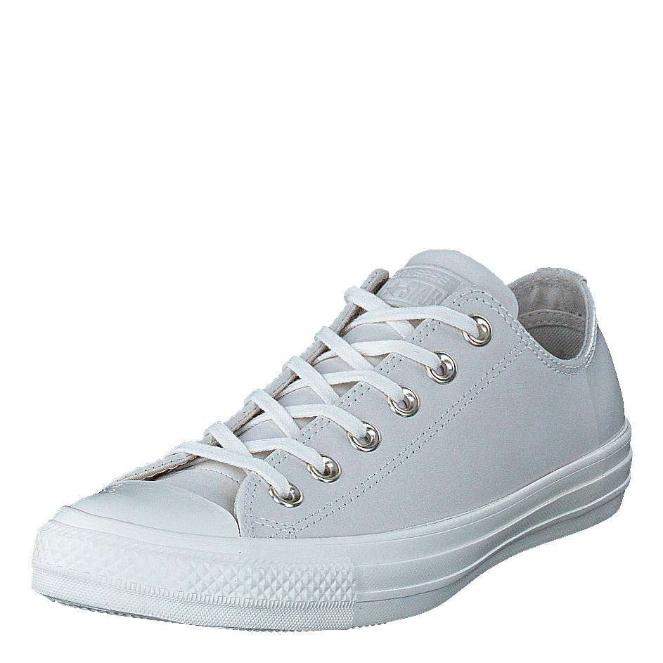 Chuck Taylor All Star Egret/egret/driftwood
