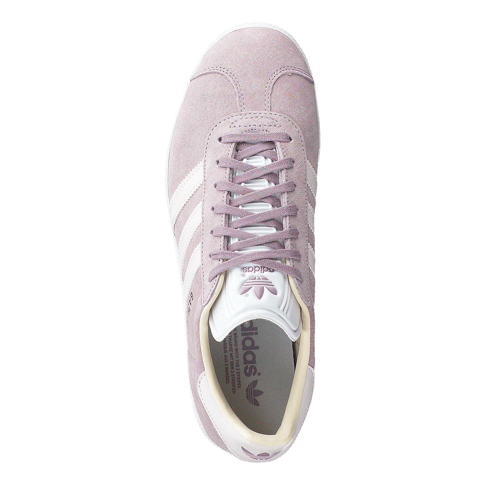 Gazelle W Sofvis/orctin/ecrtin