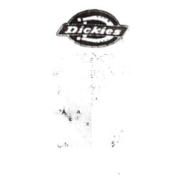 Slim Fit Short Olive Green